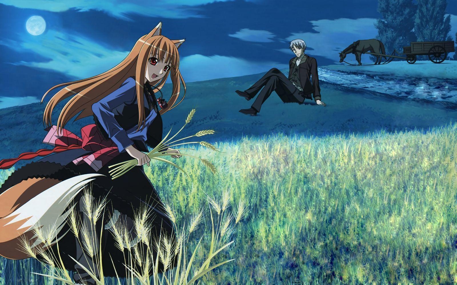 1600x1000 Spice and Wolf Wallpaper, Desktop