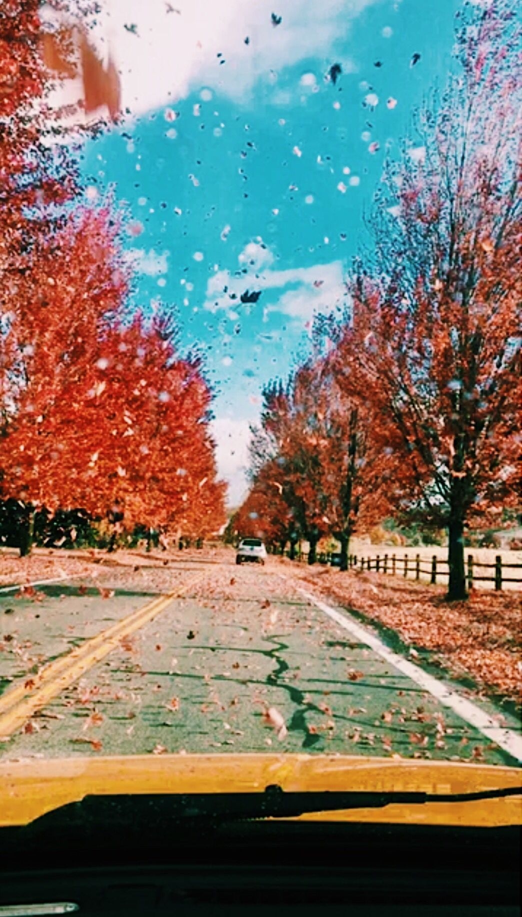 1050x1840 Aesthetic. Fall picture, Fall photo, Fall wallpaper, Phone