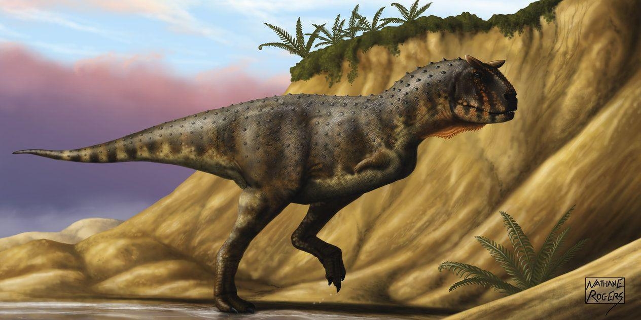 1270x640 Carnotaurus Dinosaur Wallpaper, Desktop