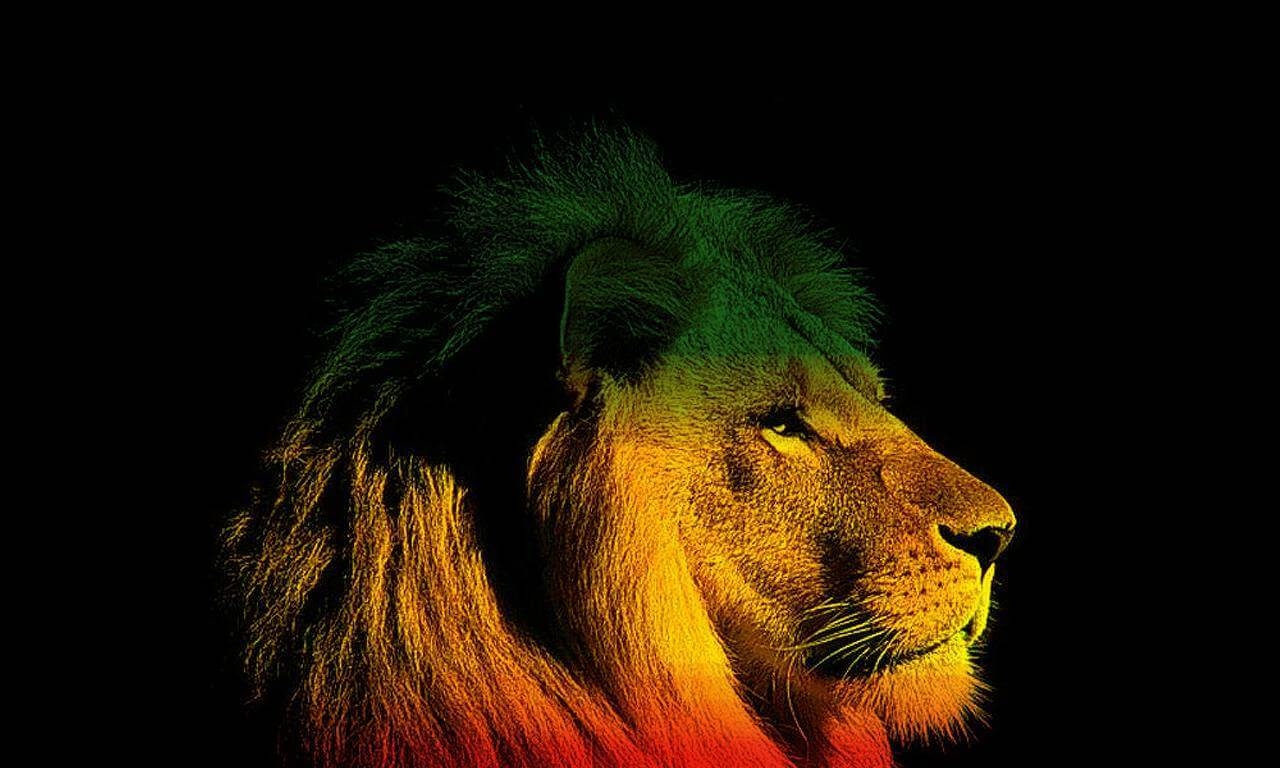 1280x770 Reggae Lion Wallpaper HD Background, Desktop