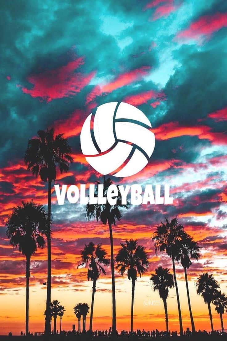 740x1110 Cute Volleyball Wallpaper, Phone