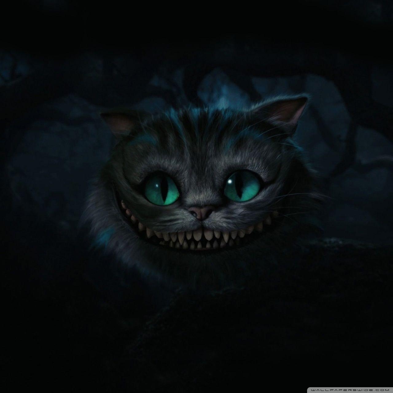 1280x1280 Cheshire Cat, Alice In Wonderland Ultra HD Desktop Background, Phone