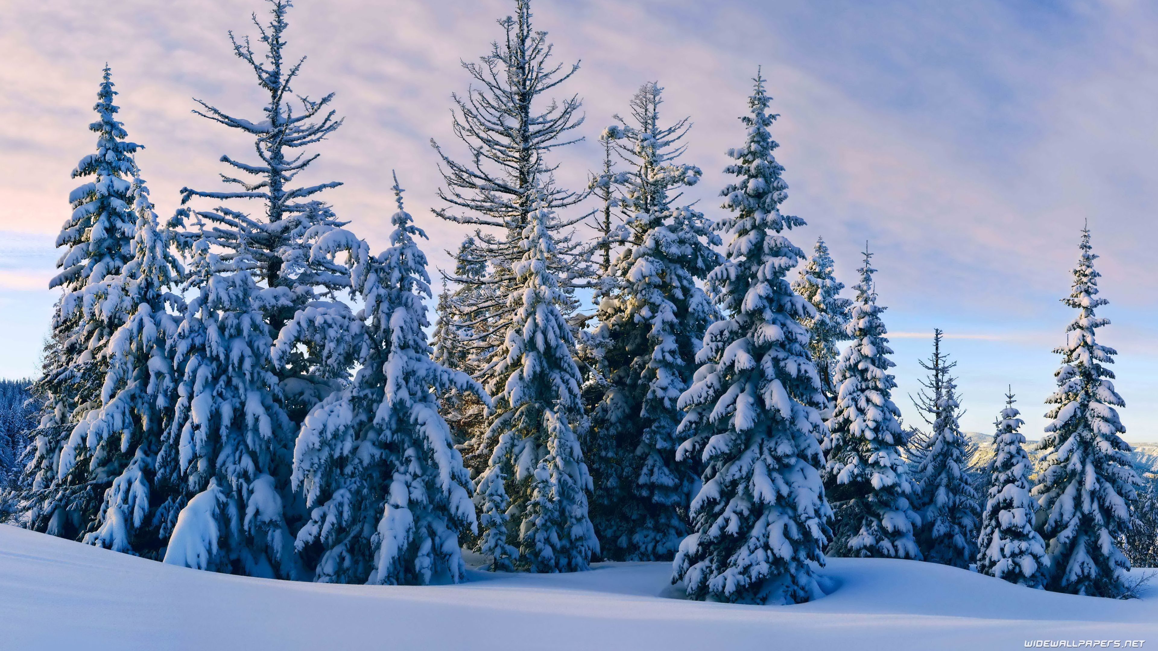 3840x2160 Winter desktop wallpaper 4K Ultra HD, Desktop