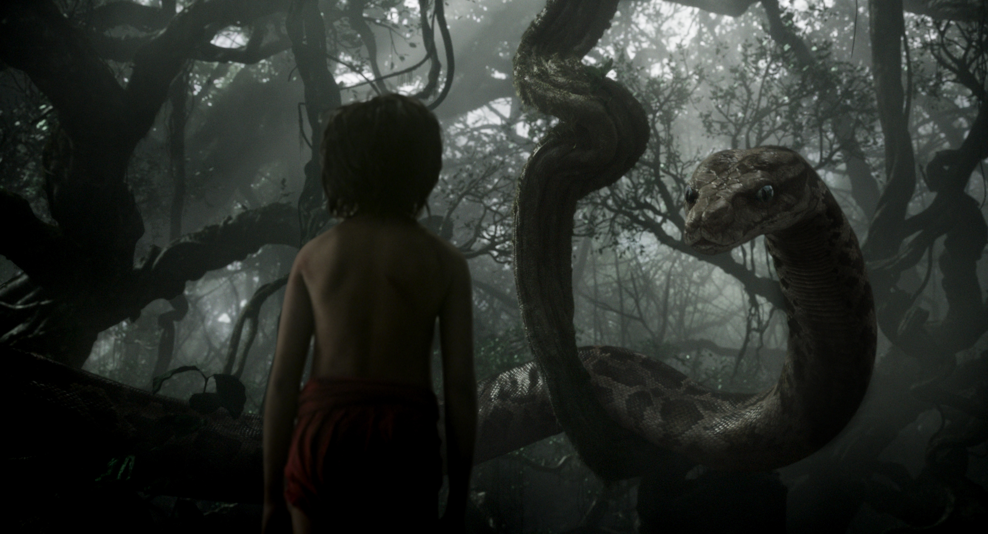 2000x1080 The Jungle Book (2016) HD Wallpaper. Background Imagex1080, Desktop