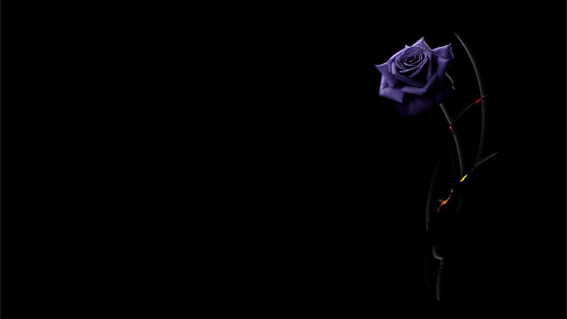 1920x1080 Purple Rose Background, Desktop