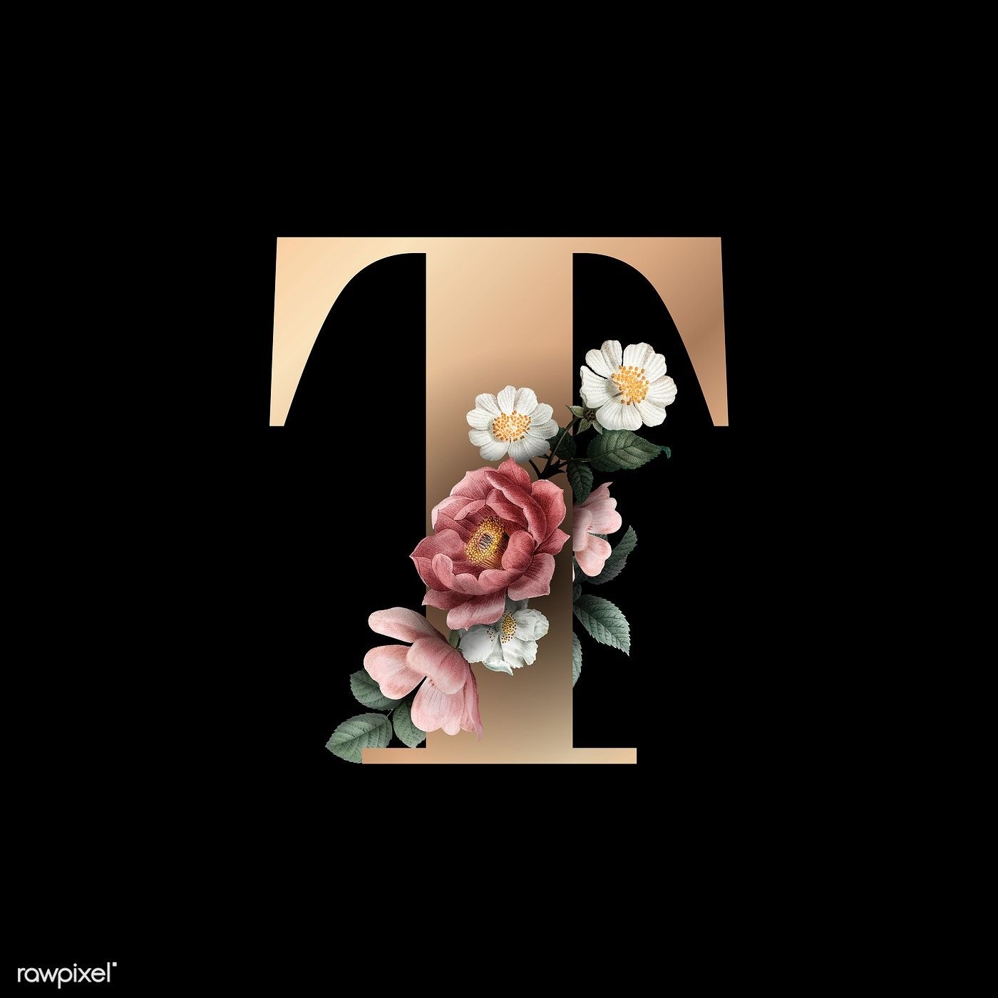 1400x1400 Classic and elegant floral alphabet font letter T vector. free image by rawpixel.com. Fonts alphabet, Lettering alphabet fonts, Lettering fonts, Phone