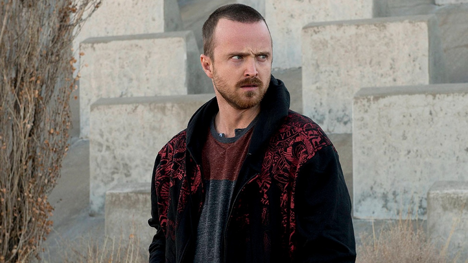 1600x900 Jesse's Best Scene In Breaking Bad According To Fans, Desktop
