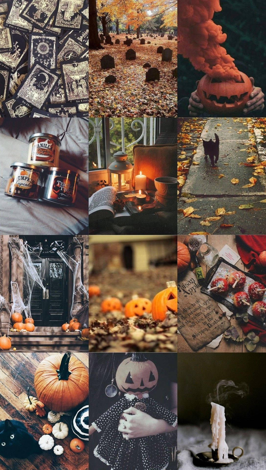 1090x1920 Download Witchy Aesthetic Halloween Wallpaper, Phone