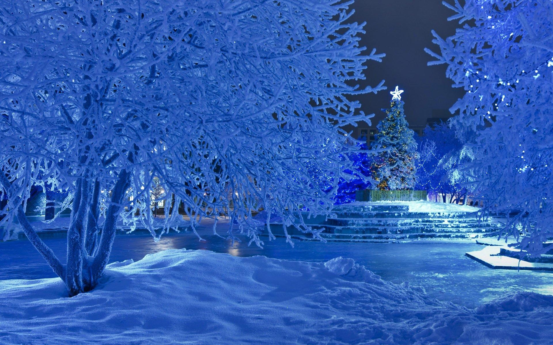 1920x1200 Winter Night at Christmas time HD Wallpaper. Background, Desktop