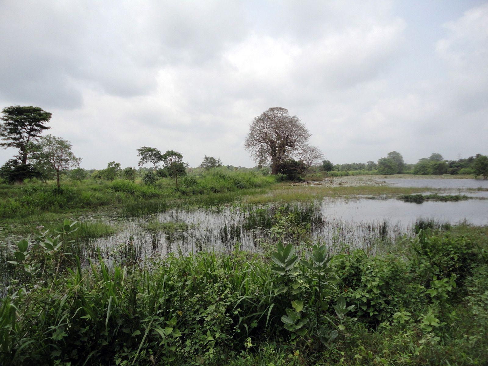 1600x1200 Sri Lanka Desktop Wallpaper Nature, Flora, Landscapes, Historical, Desktop