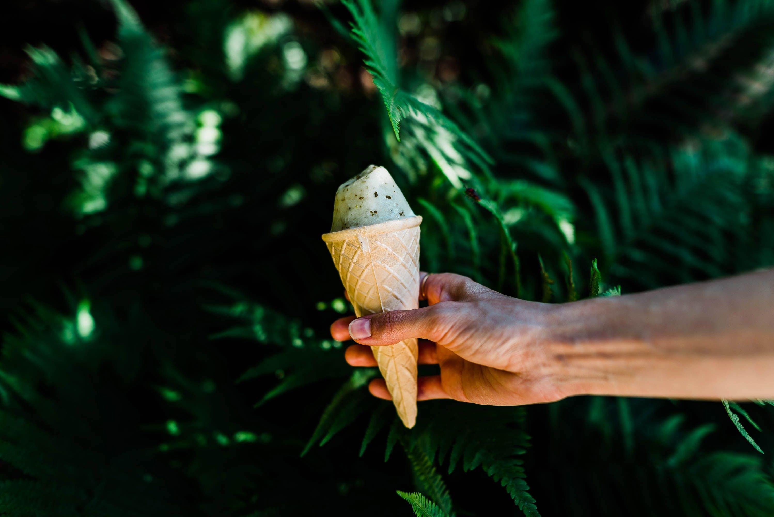 3000x2000  #spring, #arm, #holding ice cream, #PNG image, #greenery, #mint choc chip, #vibrant, #hold, #mint chocolate chip, #ice cream, #forest, #hand, #cone, #summer, #handholding HD Wallpaper, Desktop