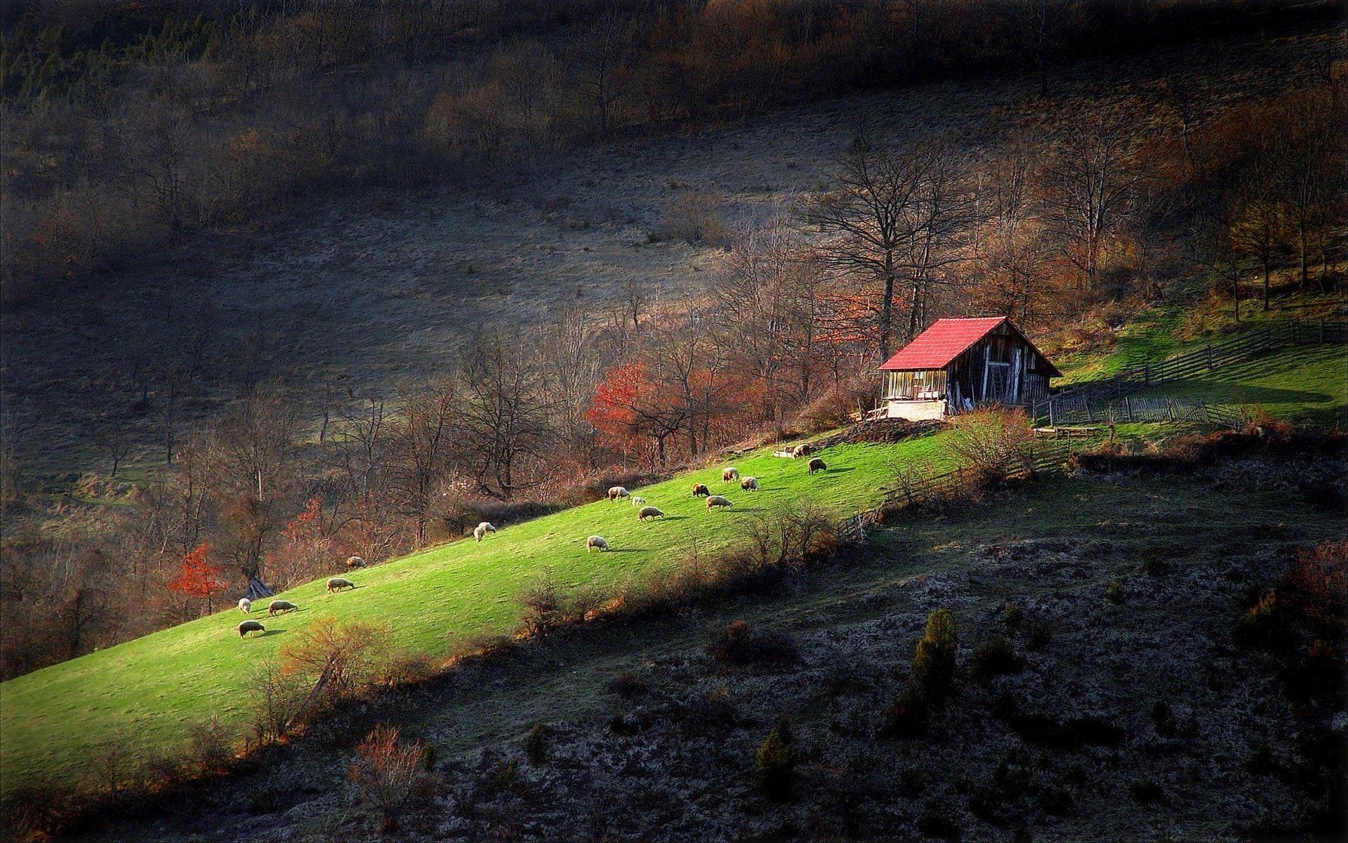 1920x1200 Landscapes Serbia wallpaperx1200, Desktop