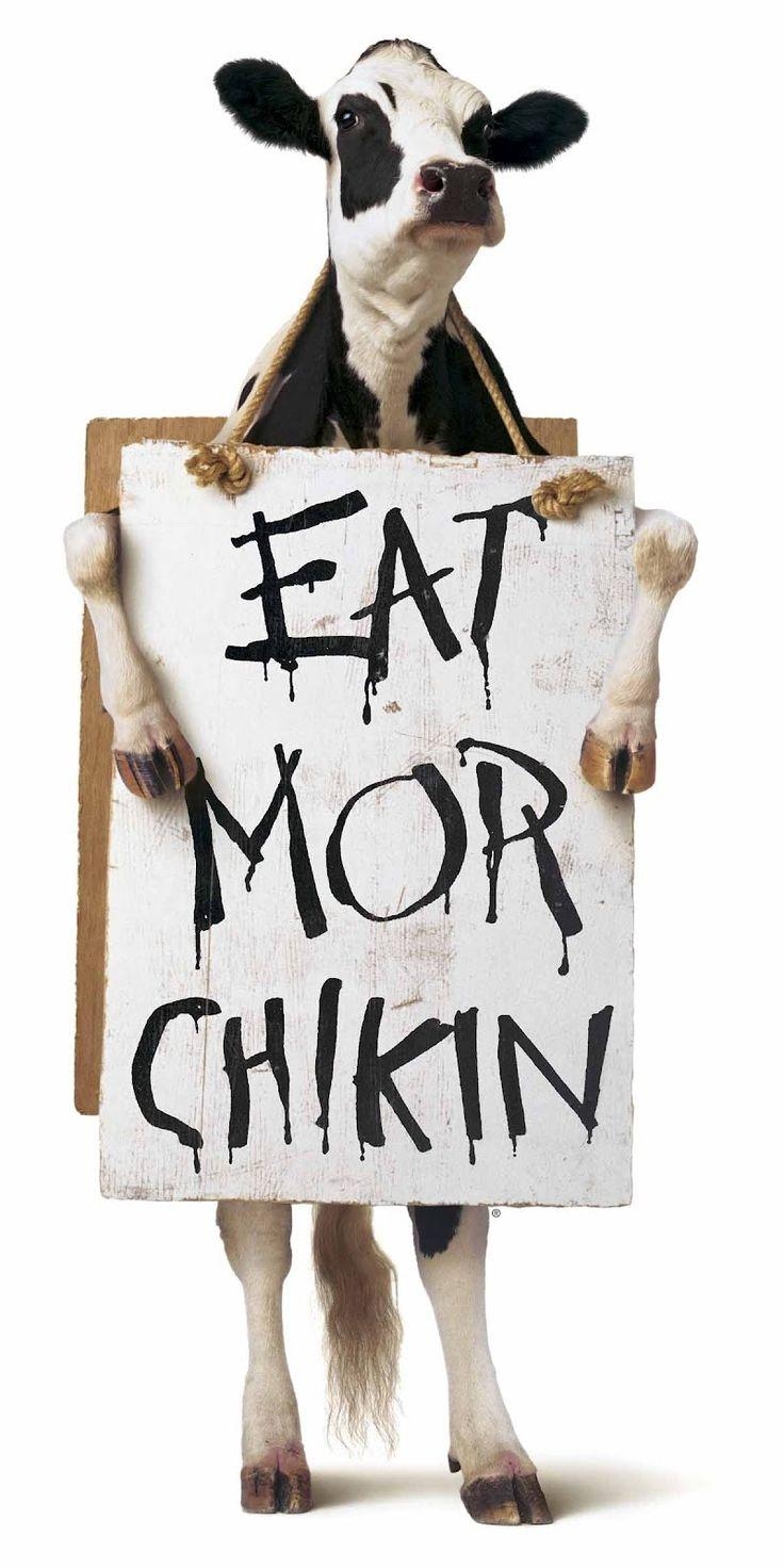 740x1480 Best Chick Fil A Image. Funny Stuff, Chicken, Phone