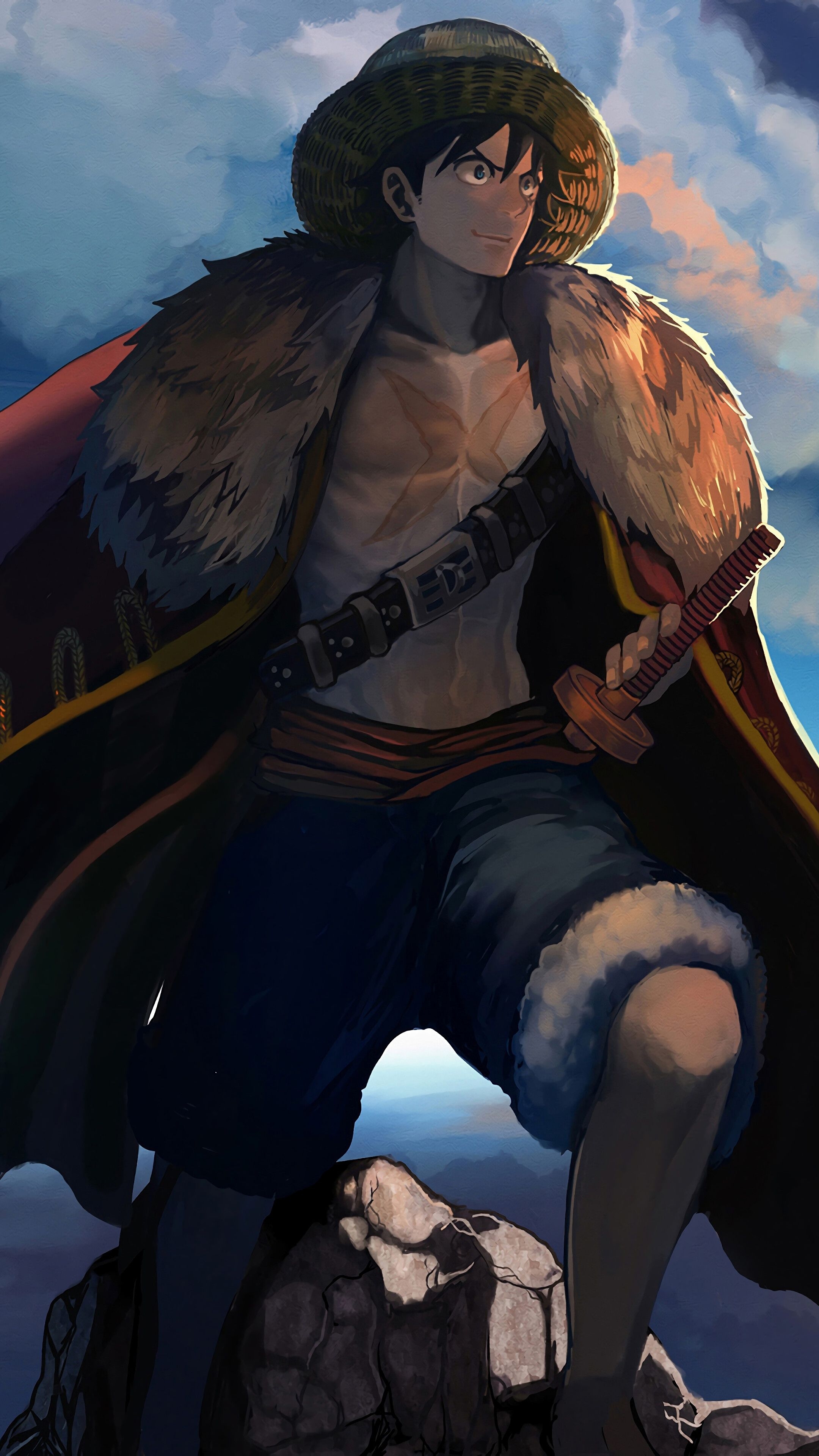 2160x3840 Luffy Wallpaper, Phone