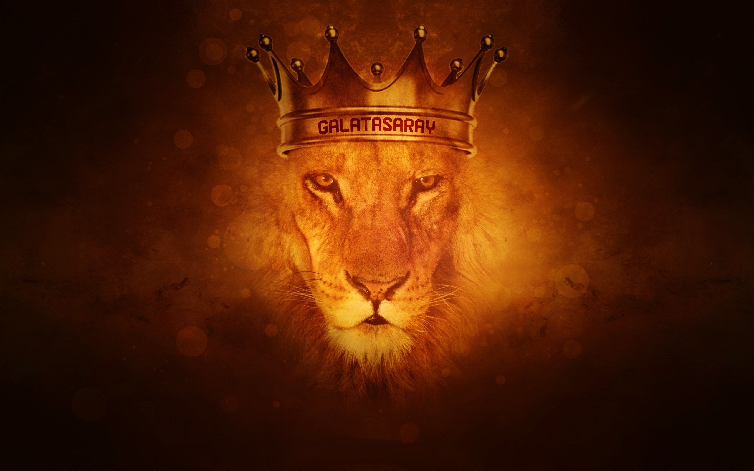 2560x1600 Lion Of Judah Background, Desktop