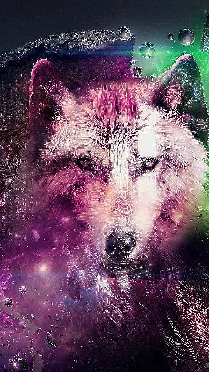 720x1280 Animal Space Wolf Wallpaper HD New, Phone