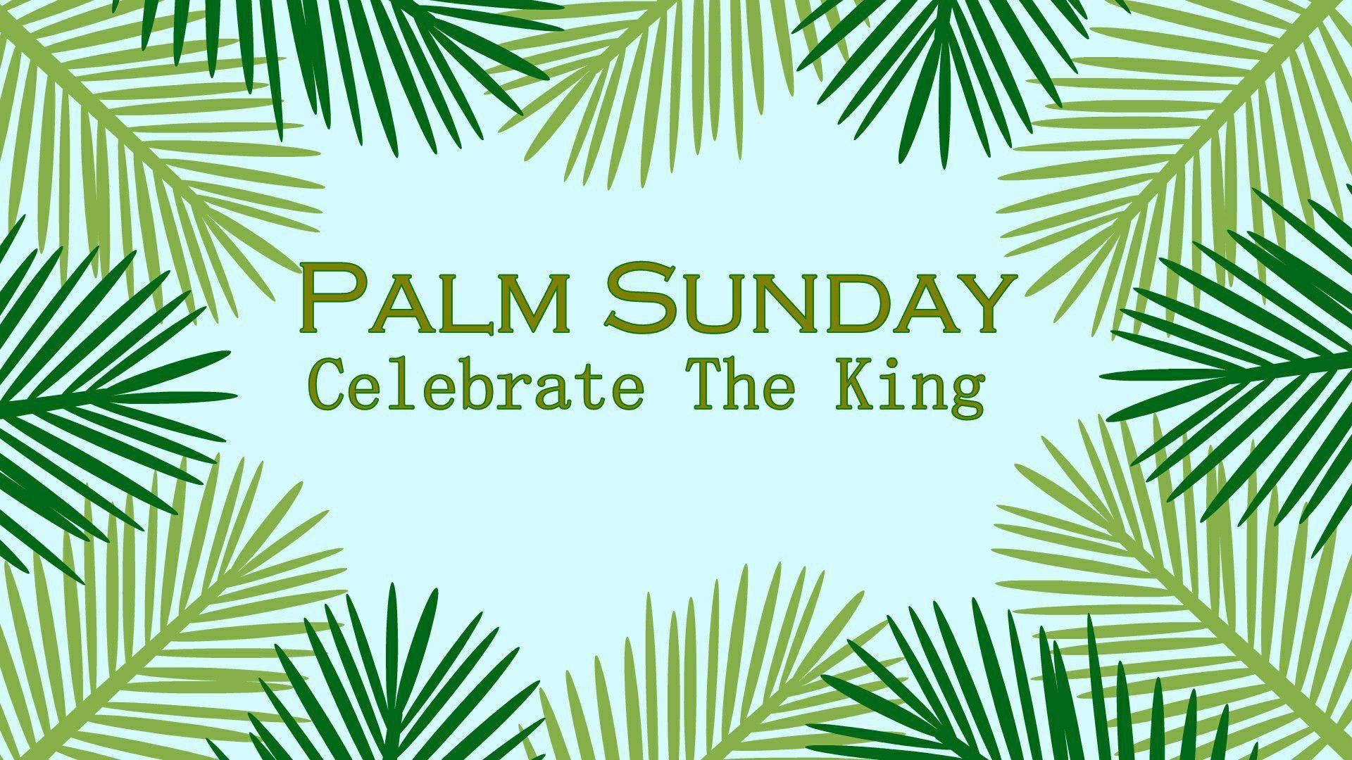 1920x1080 Palm Sunday Whatapp Wallpaper Free Download, Desktop