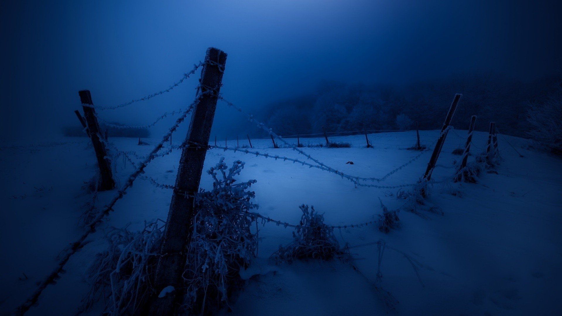 1920x1080 dark, Night, Fence, Cold, Snow, Winter, Landscape HD Wallpaper / Desktop and Mobile Image & Photo, Desktop