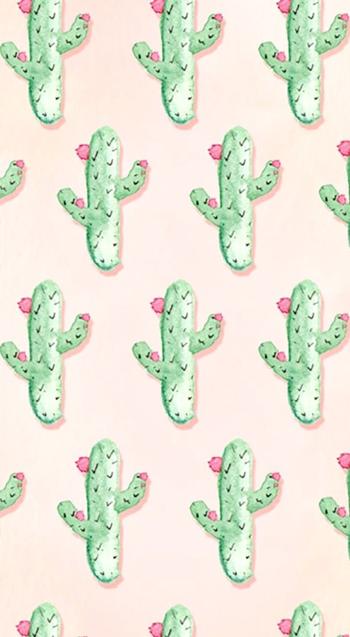 690x1260 Wallpaper, Cactus, And Background Image Phone Background HD Wallpaper, Phone