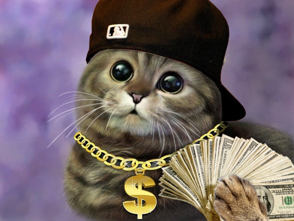 1030x770 Thug Cat Wallpaper Free Thug Cat Background, Desktop