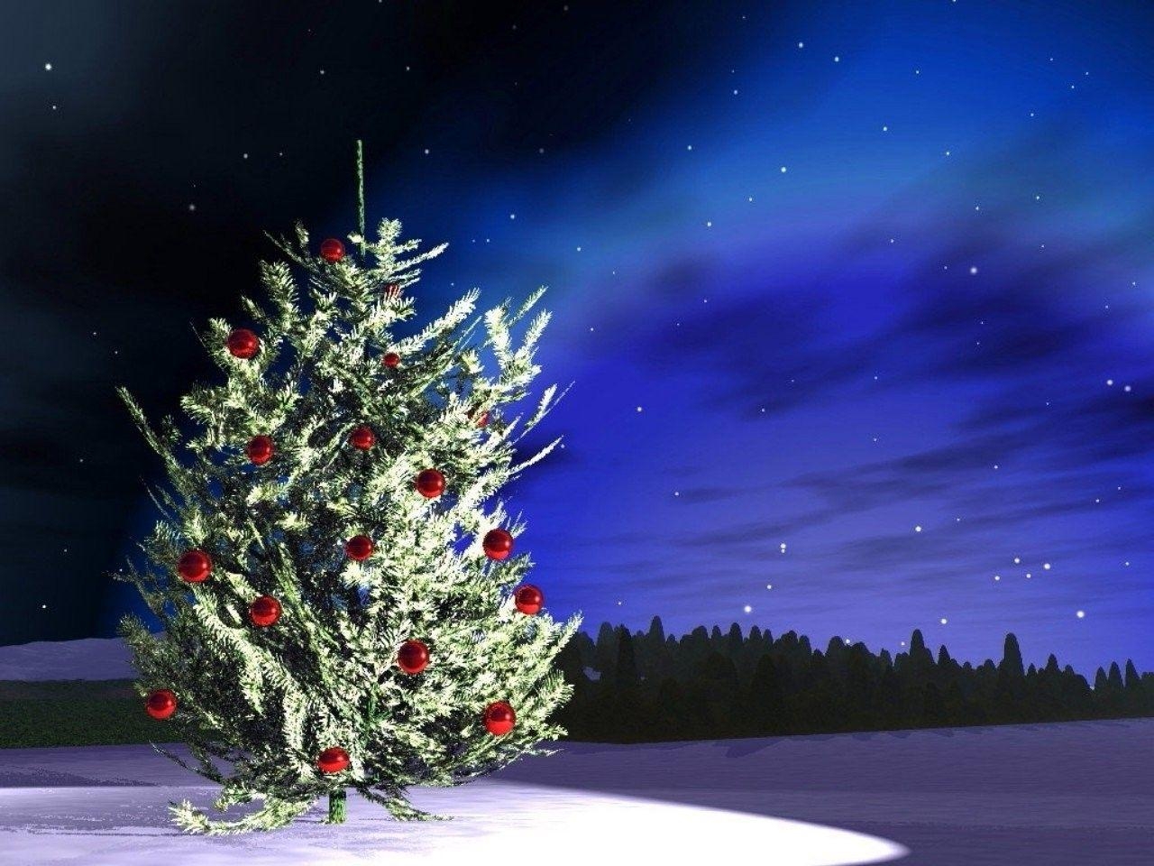 1280x960 Forests: Night Tree Outdoor Christmas Stars Snow Sky Forest Image, Desktop