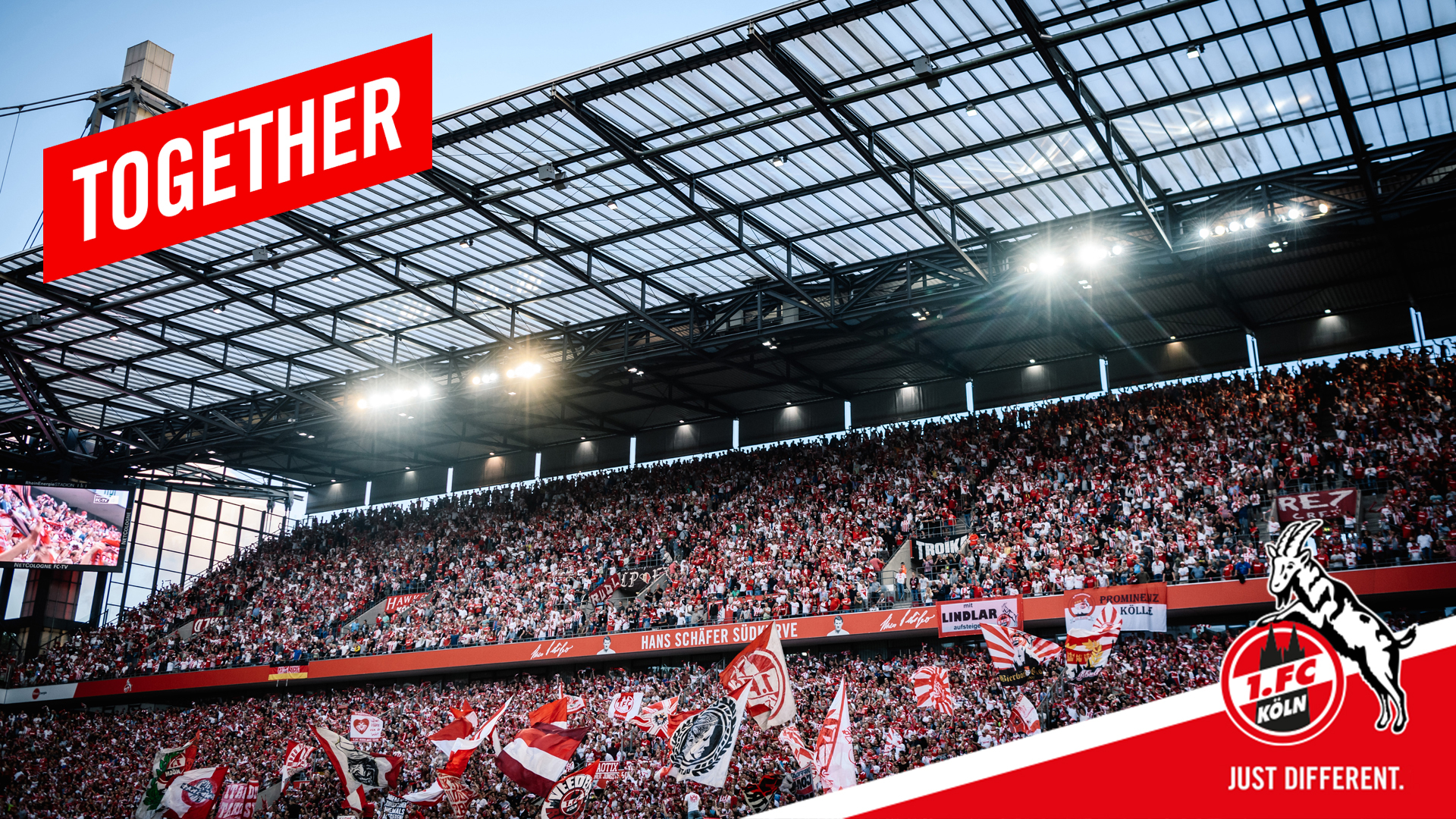 1920x1080 1. FC Köln, Desktop