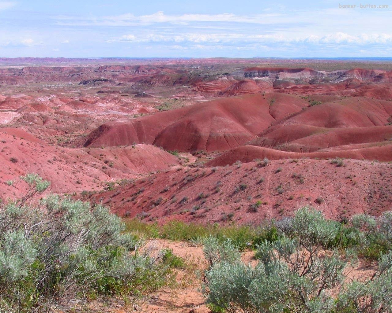 1280x1030 Badlands Tag wallpaper: Forest Usa Badlands Tourist Trees, Desktop