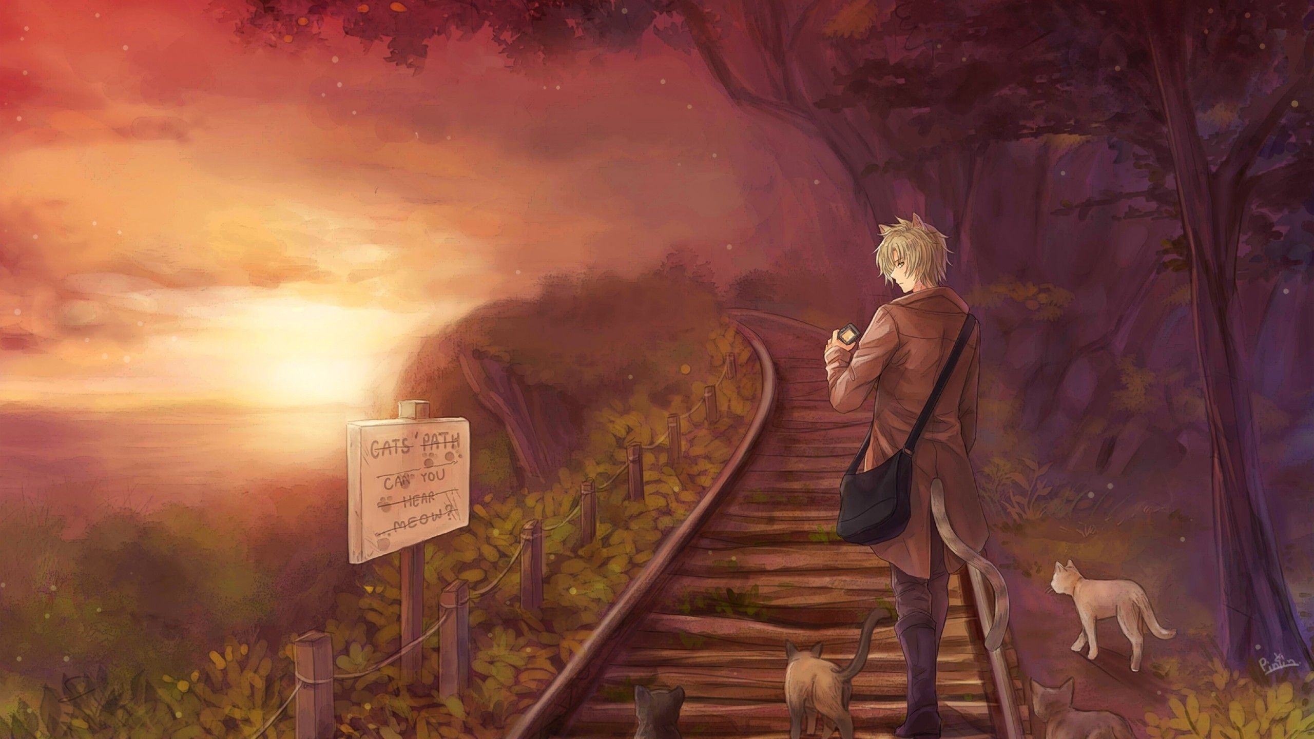 2560x1440 Download  Anime Boy, Cats, Sunset, Scenic, Animal Ears, Cat Boy Wallpaper for iMac 27 inch, Desktop