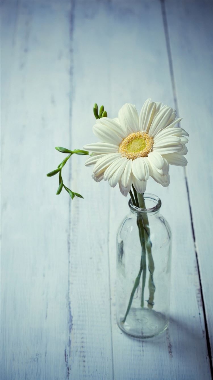 750x1340 Aesthetic Beauty Daisy Vase iPhone 8.ilikewallpaper.net, Phone