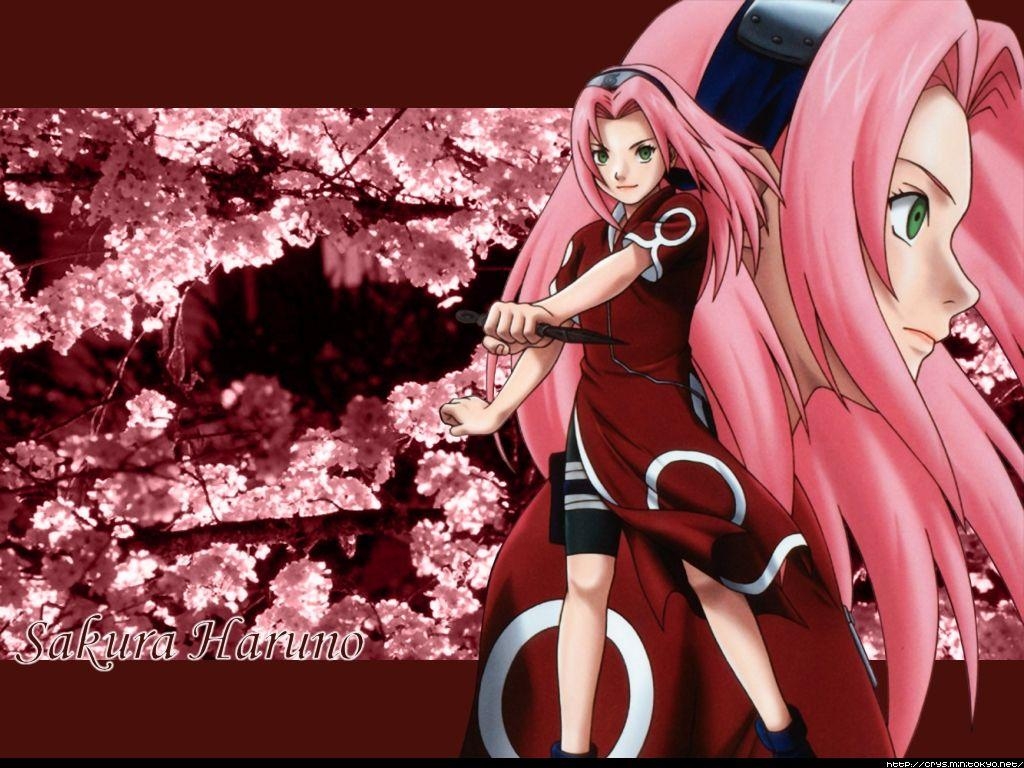 1030x770 Naruto Wallpaper: Sakura Haruno, Desktop