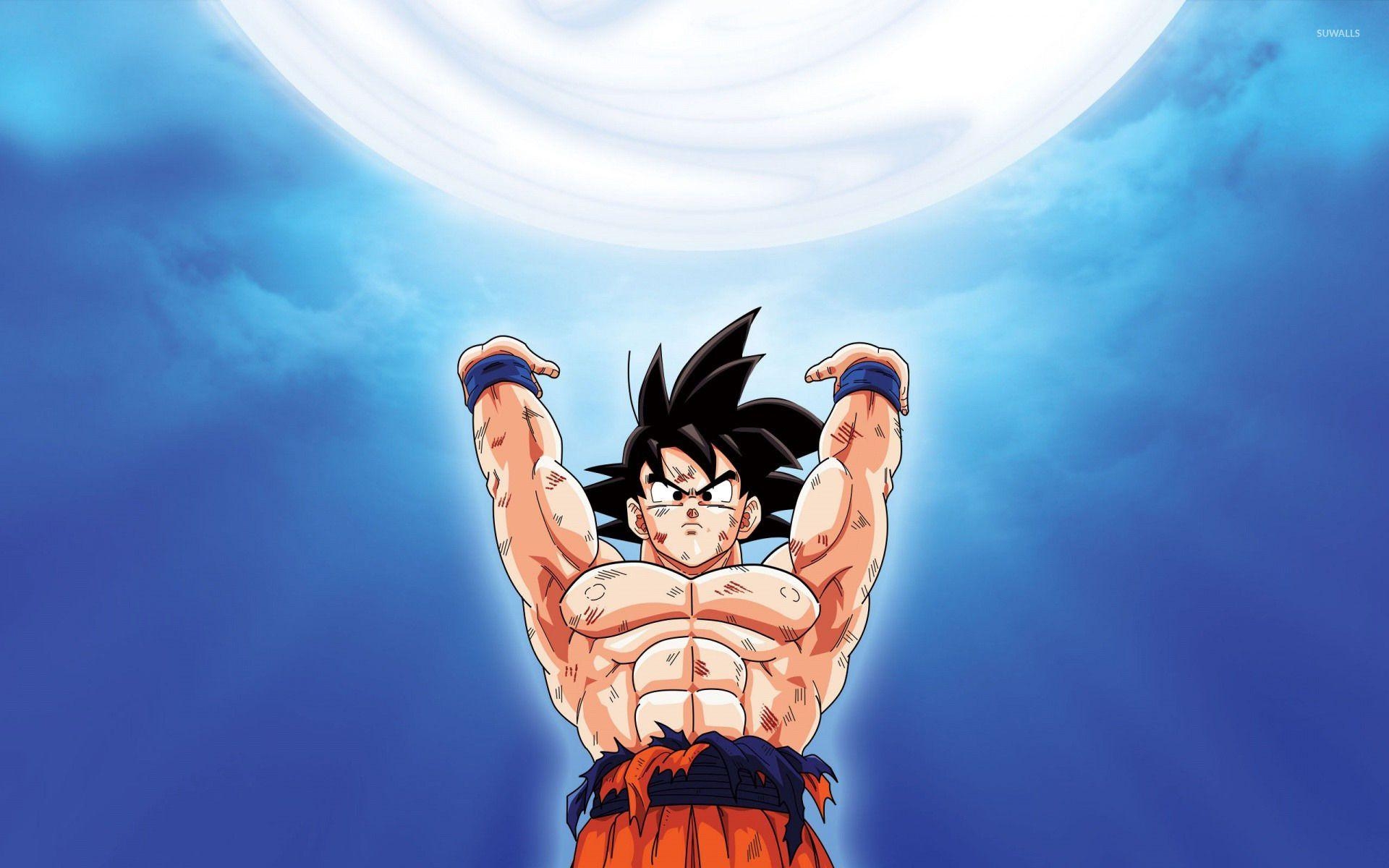 1920x1200 Goku Ball Z [3] wallpaper wallpaper, Desktop