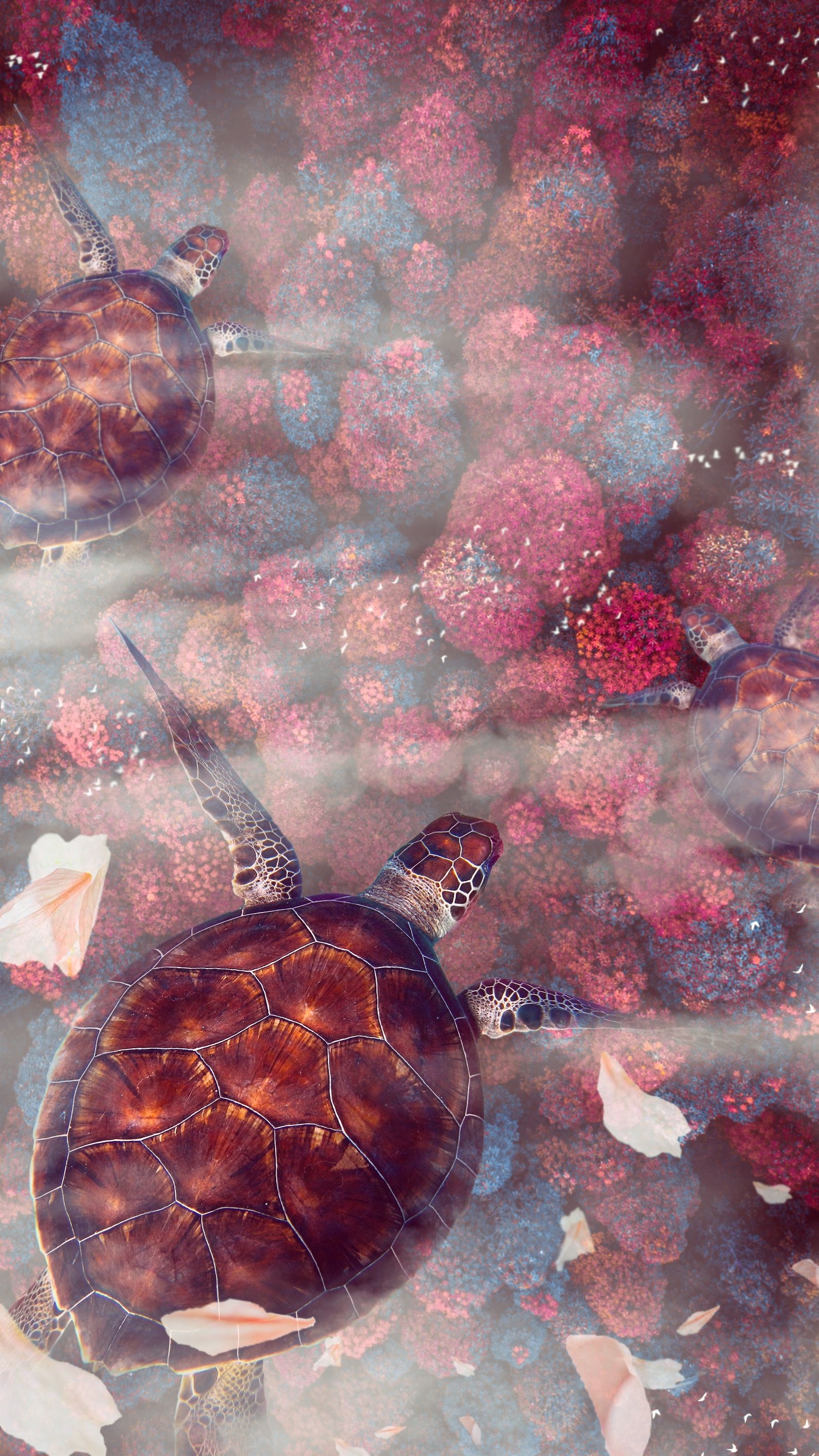 1600x2840 Download Turtle wallpaper for mobile phone, free Turtle HD picture, Phone