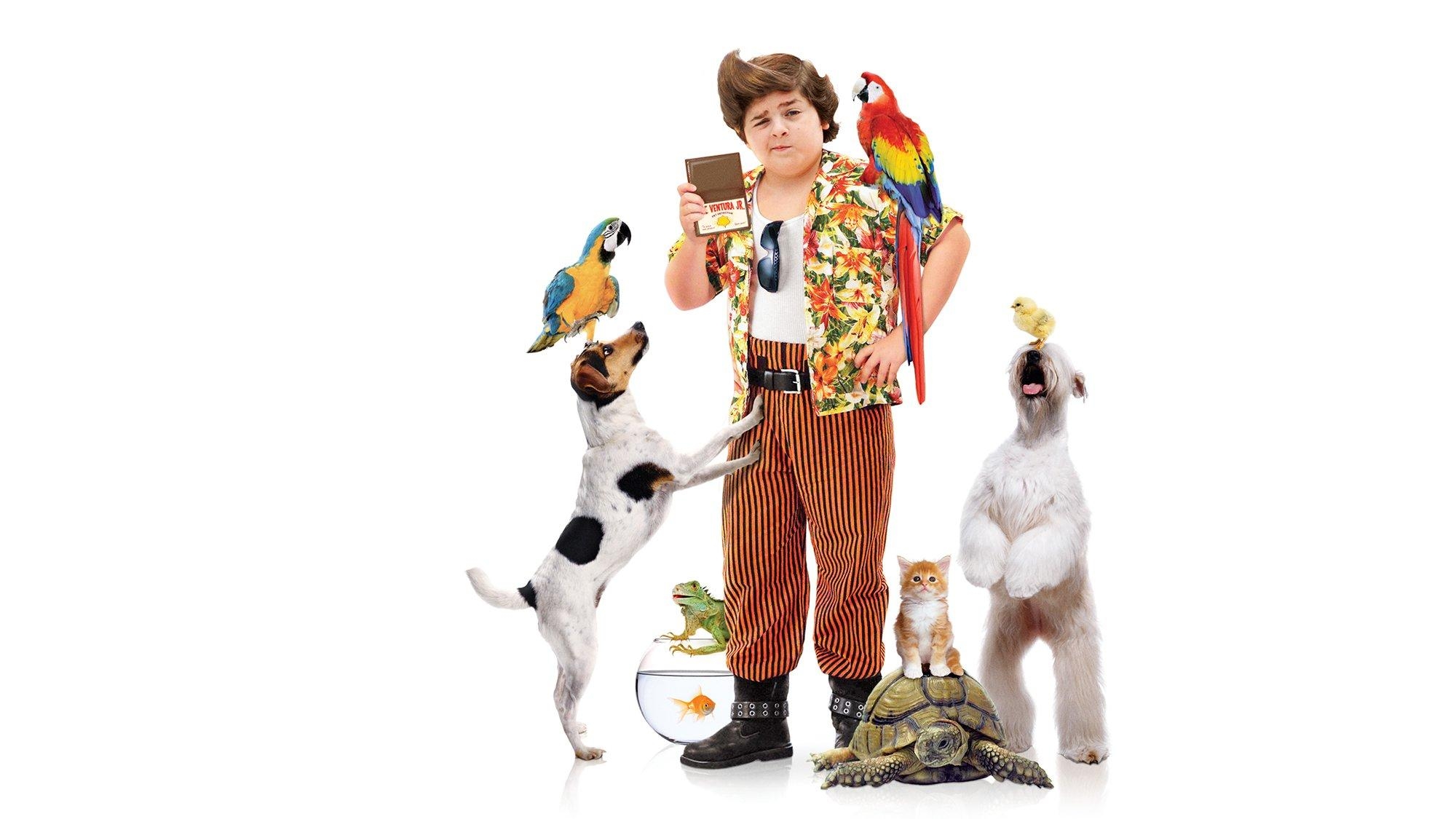 2000x1130 ace ventura pet detective HD background. ace, Desktop