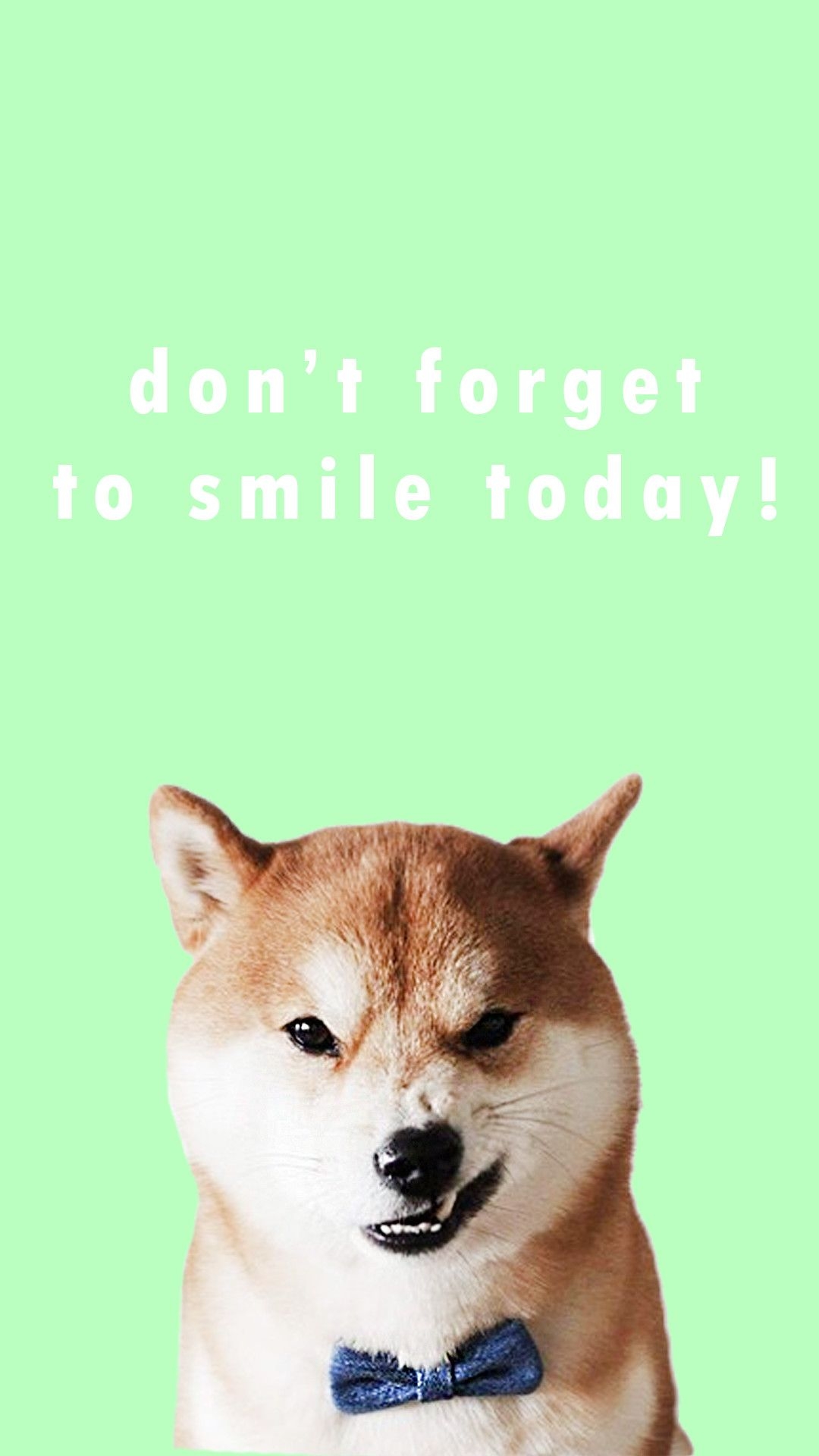 1080x1920 Shiba Inu Wallpaper, Phone