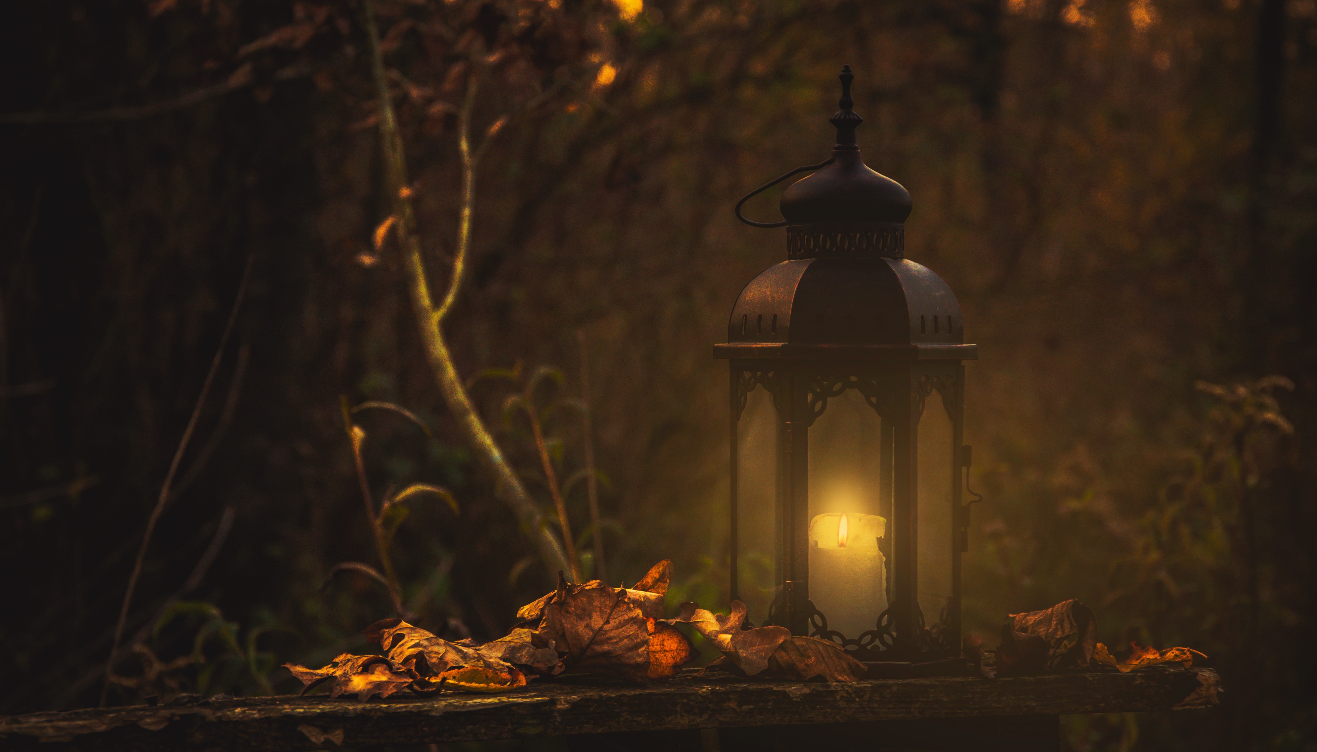 5250x3000  #Free image, #background, #lantern, #tree, Desktop