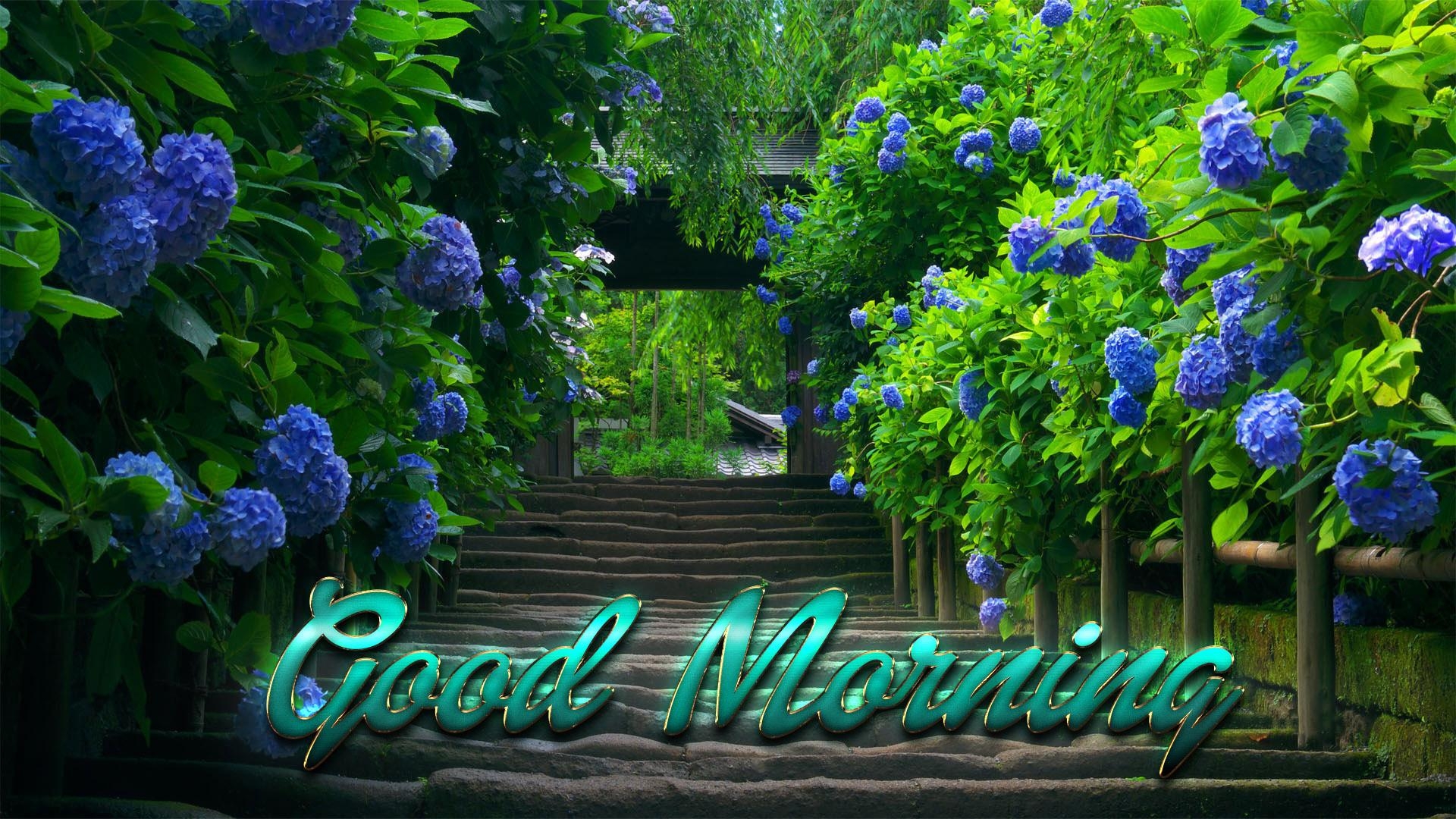 1920x1080 Nature Landscape Good Morning Wallpaper 26799, Desktop