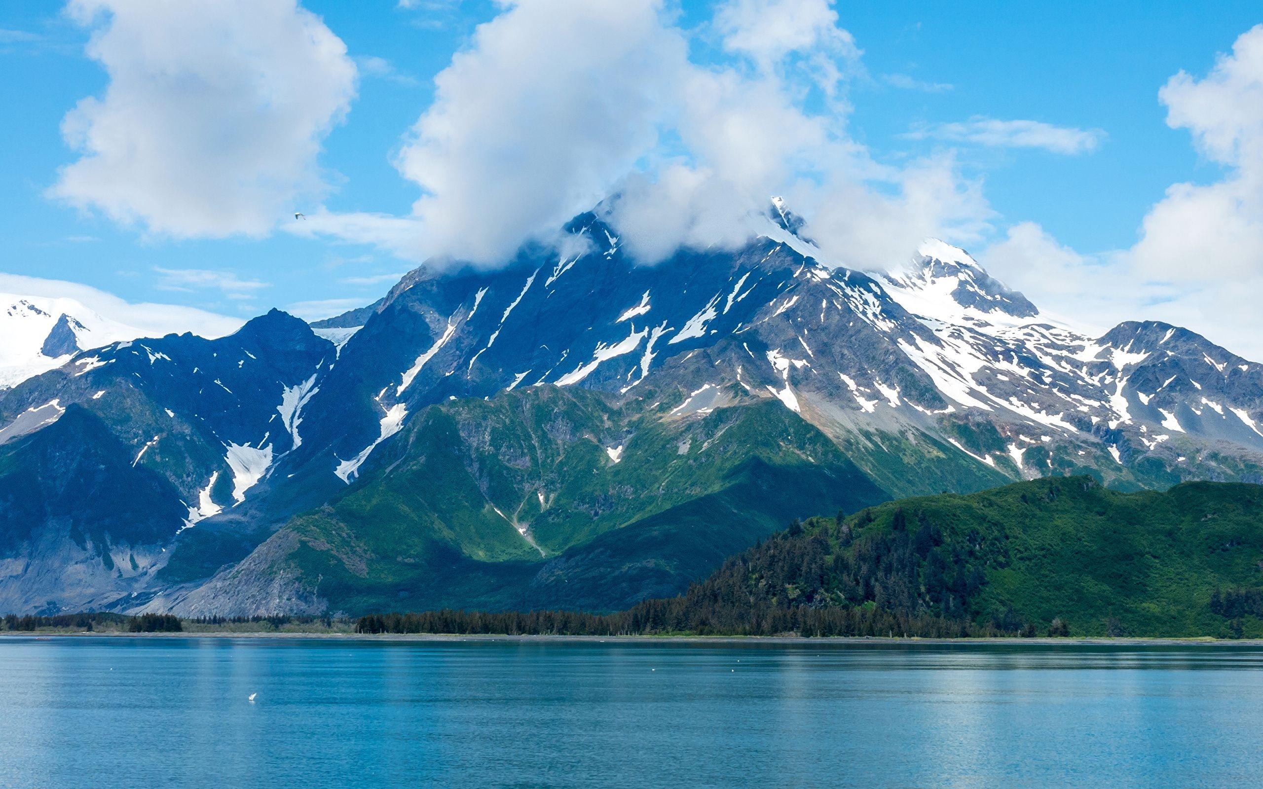 2560x1600 Wallpaper Alaska USA Kenai Fjords Nature Mountains Lake, Desktop