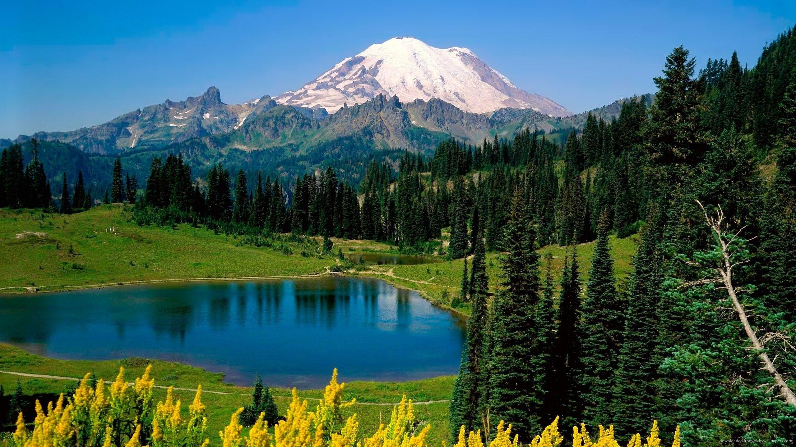 2560x1440 Download  Mount Rainier National Park Wallpaper, Desktop