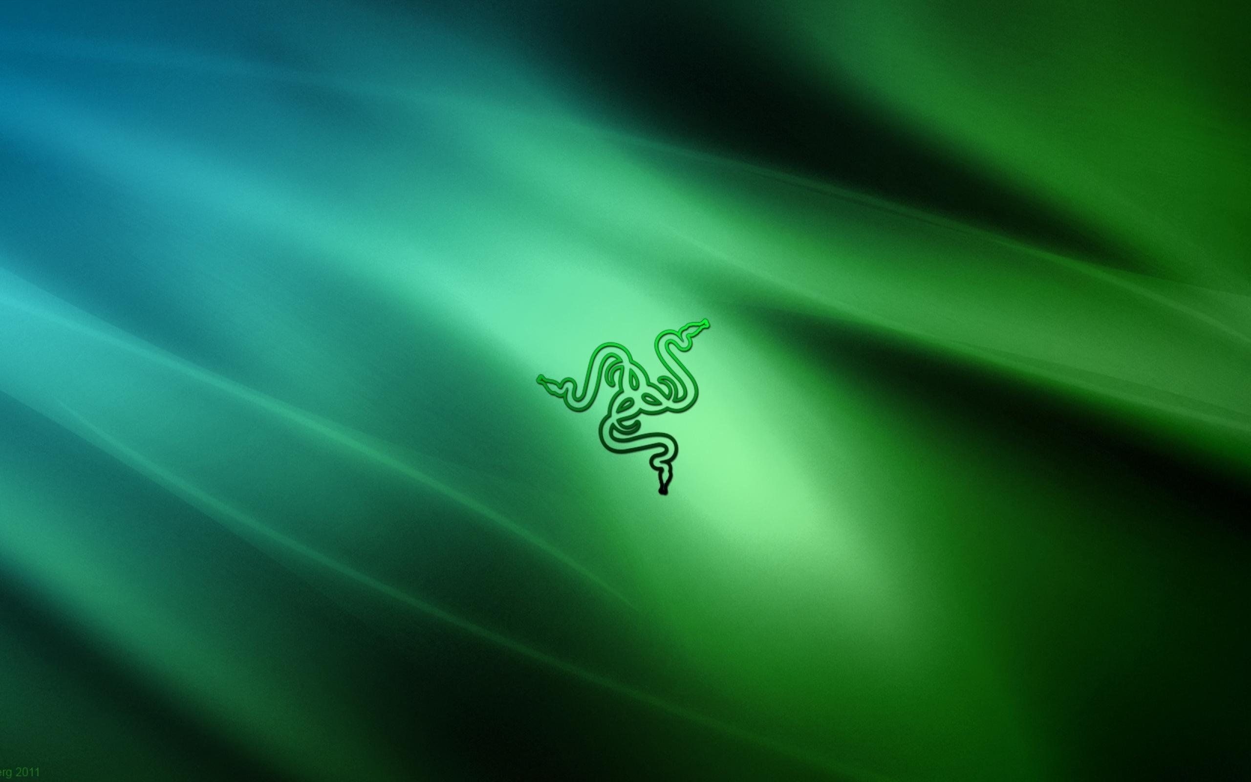 2560x1600 RAZER GAMING computer game wallpaperx1600, Desktop