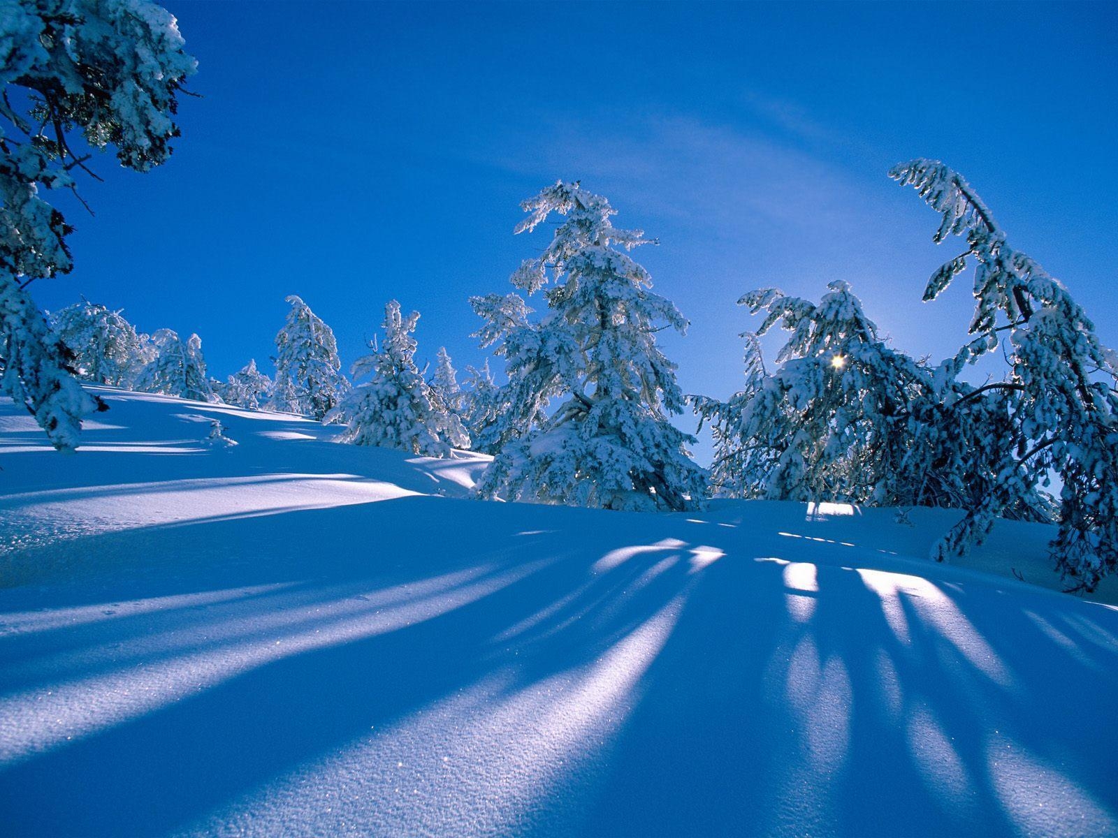 1600x1200 Snowy shadows snow wallpaper free desktop background, Desktop