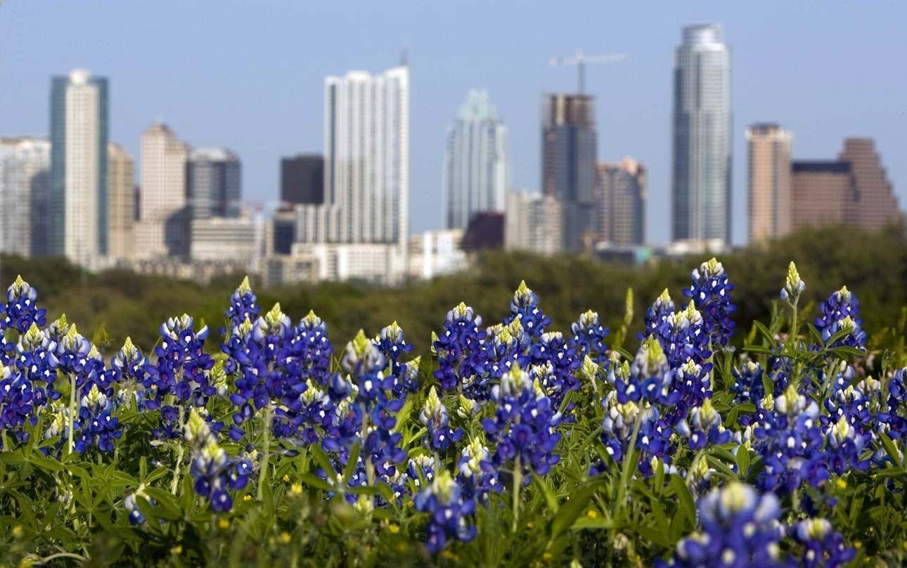 1290x810 Wallpaper Austin Texas, Desktop