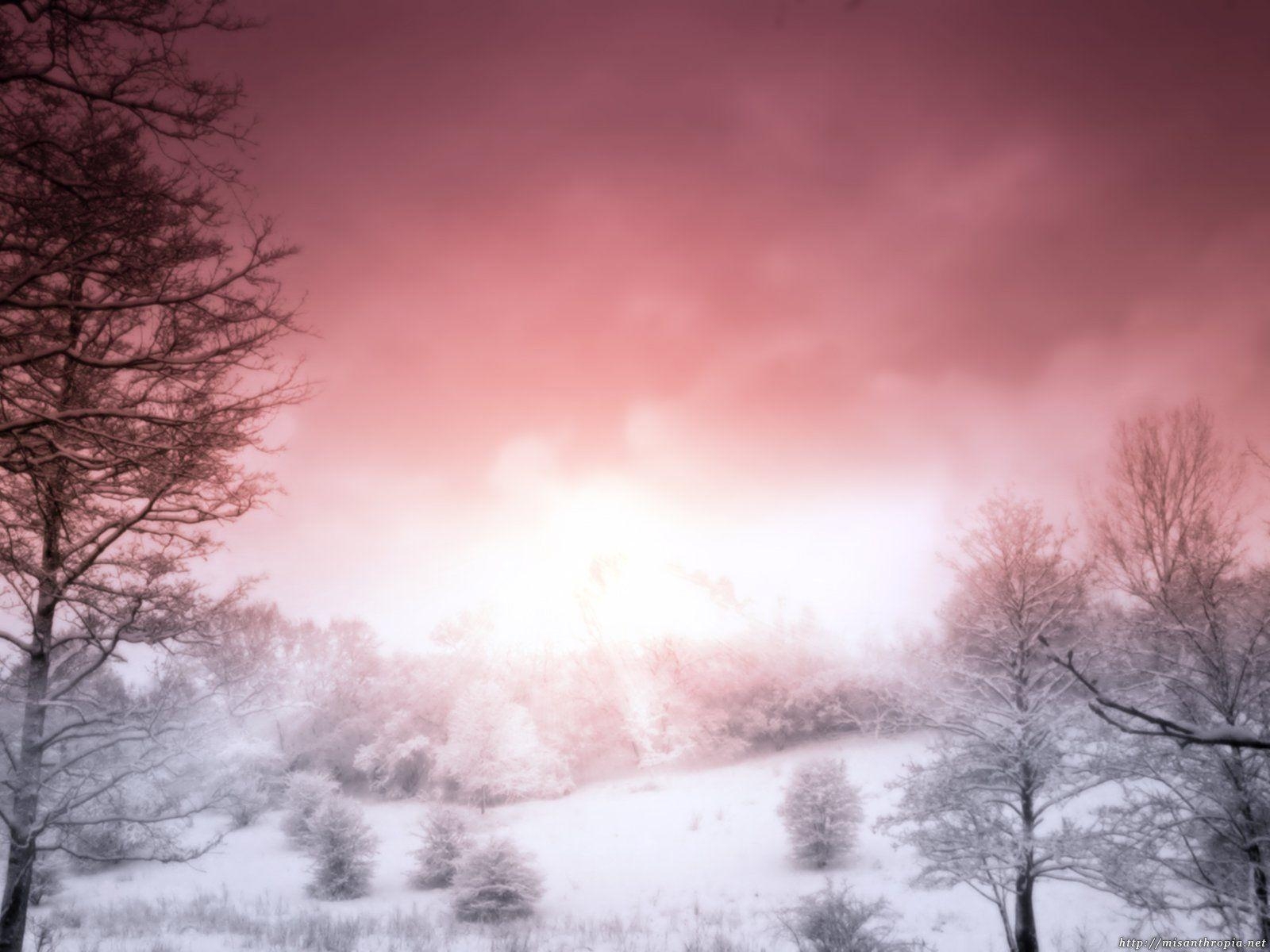 1600x1200 Pink Nature Background, Desktop