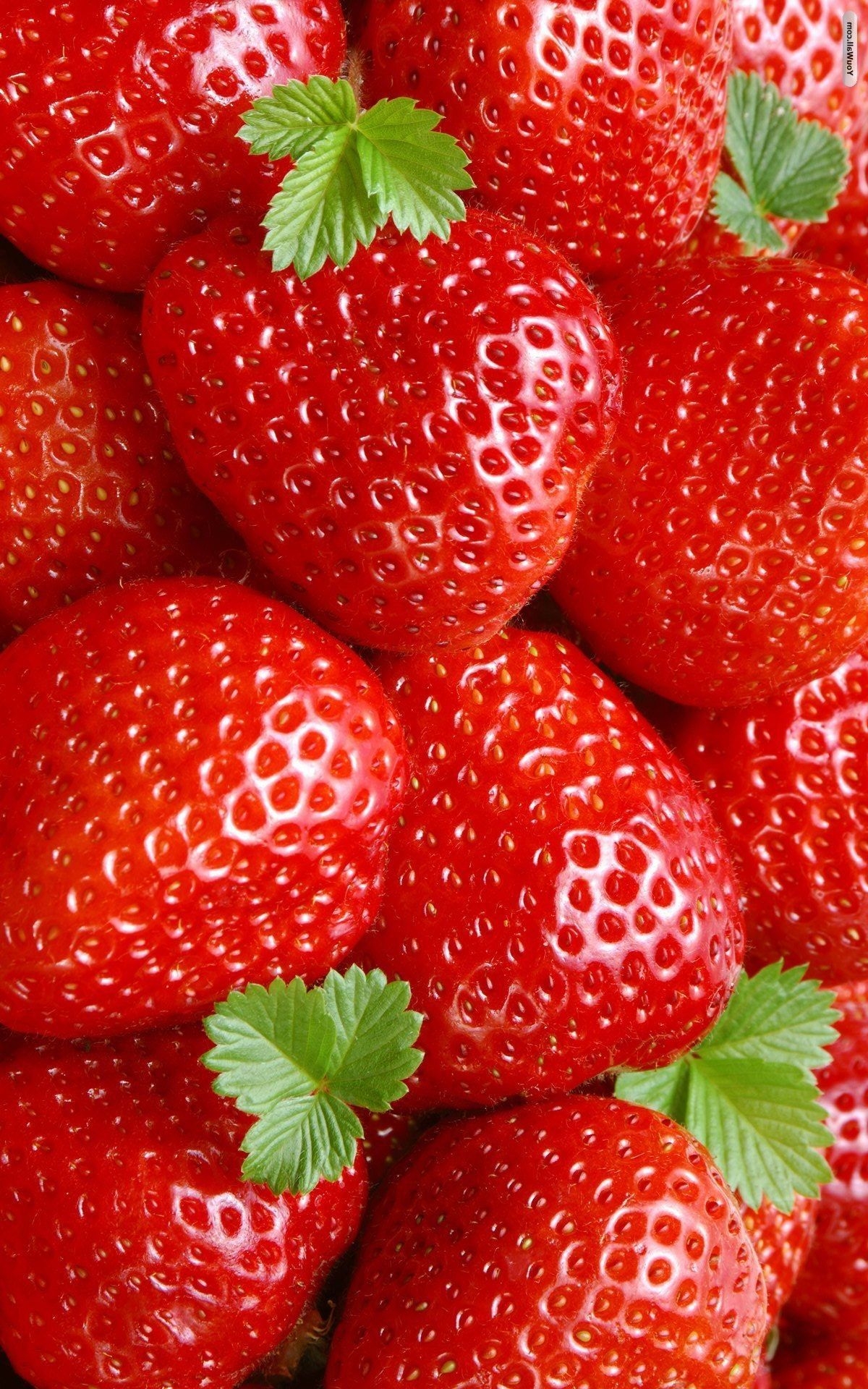 1200x1920 Strawberries Wallpaper Free Strawberries Background, Phone