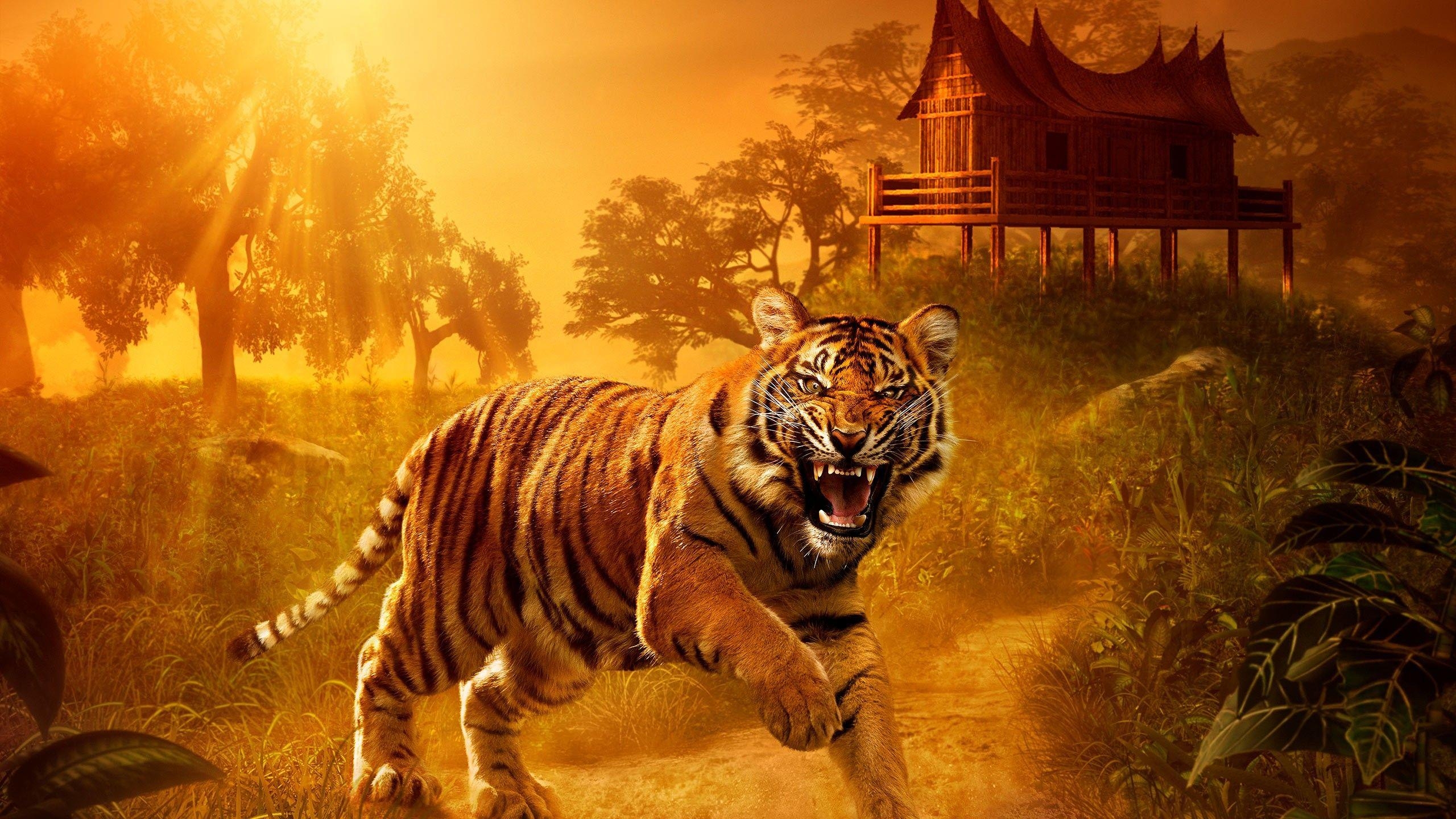 2560x1440 Wallpaper Wild Tiger, Angry, Jungle, , Creative Graphics, Desktop