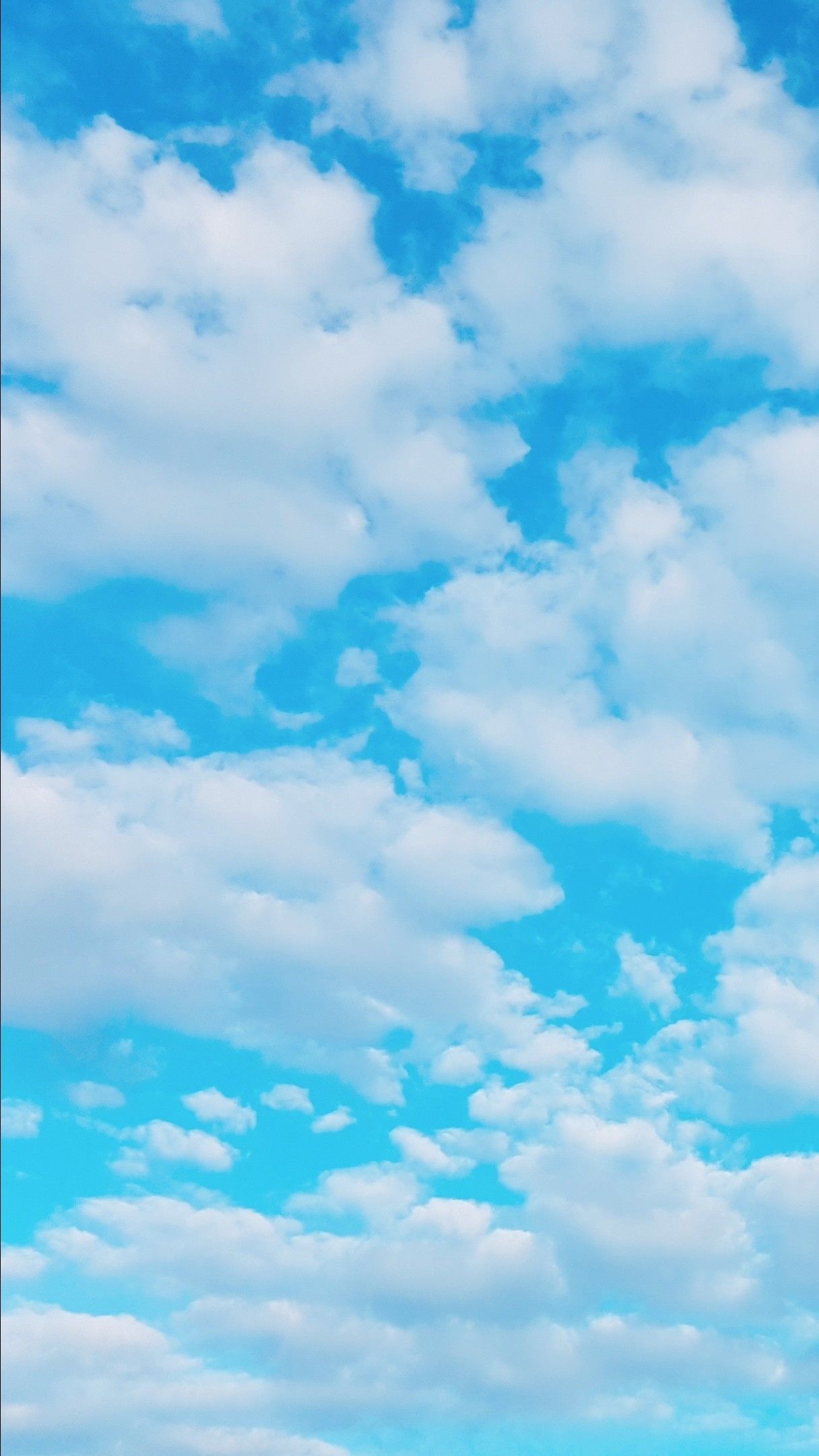 1220x2160 Sky Blue. Blue sky wallpaper, Clouds wallpaper iphone, Blue sky, Phone