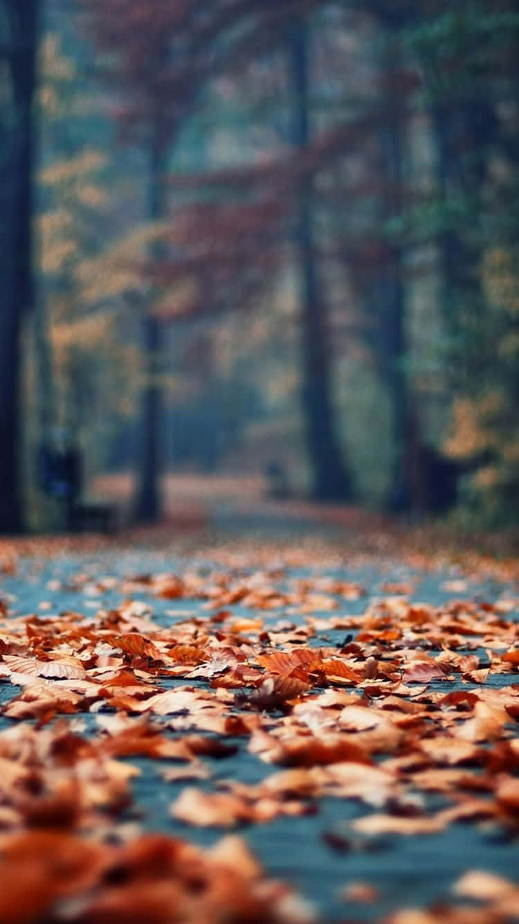 750x1340 Download Welcome the season in style with this beautiful vintage fall wallpaper! Wallpaper, Phone