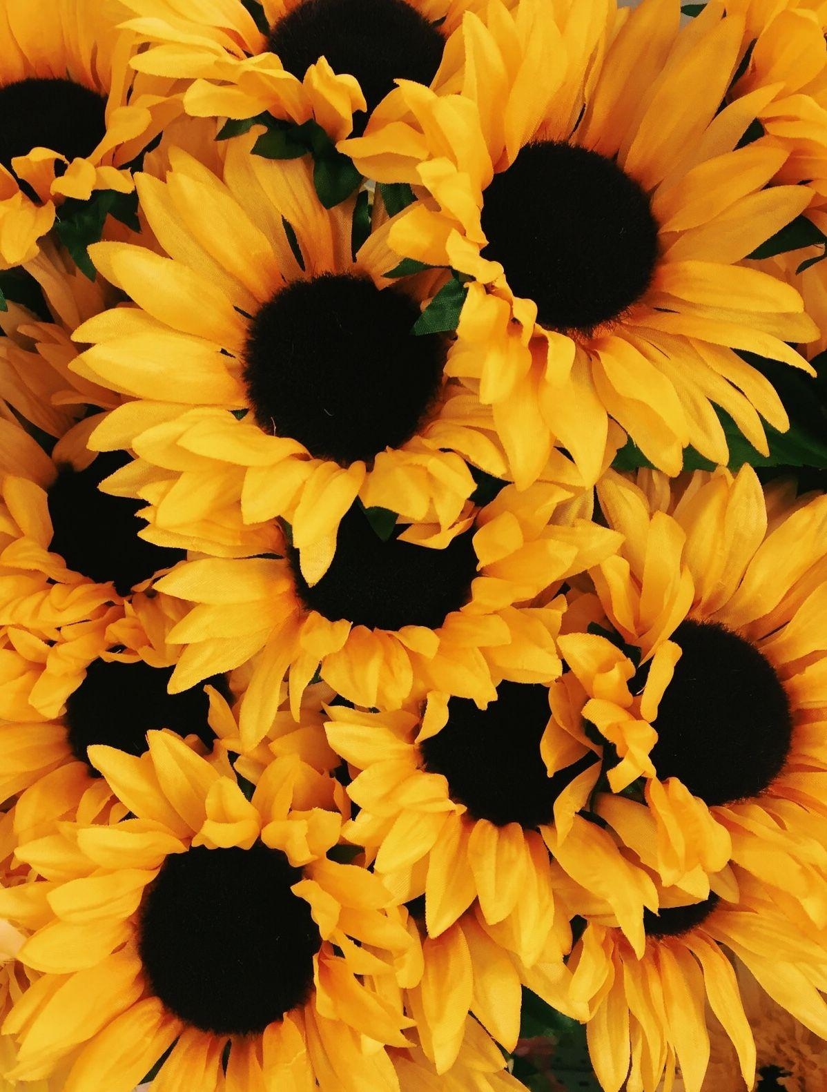 1200x1590 sunflower #yellow #aesthetic. iPhone wallpaper yellow, Phone