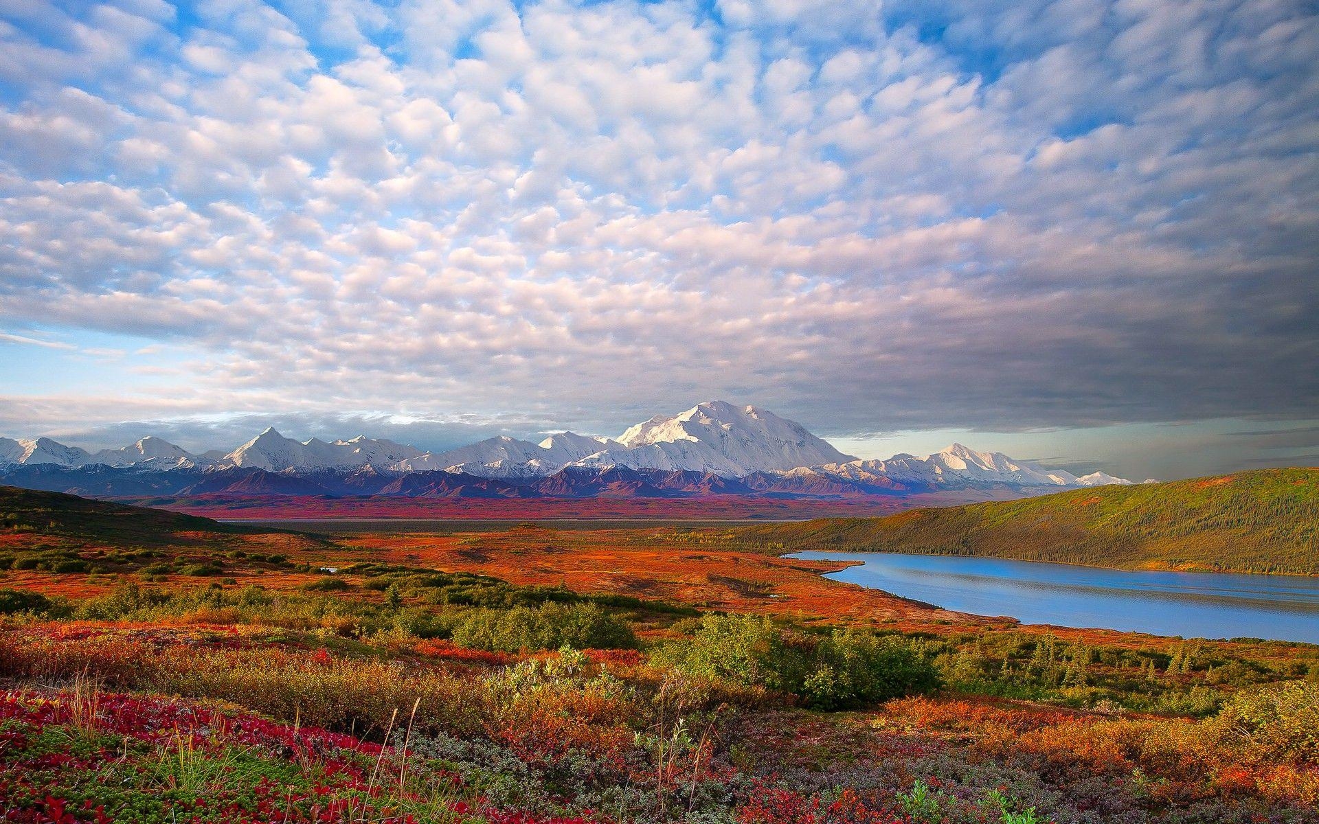 1920x1200 Mountains clouds landscapes Denali National Park wallpaper, Desktop