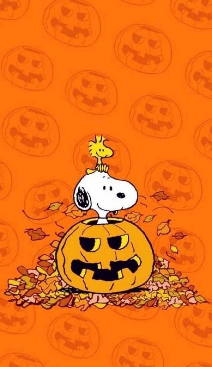 720x1240 Snoopy Halloween Wallpaper, Phone