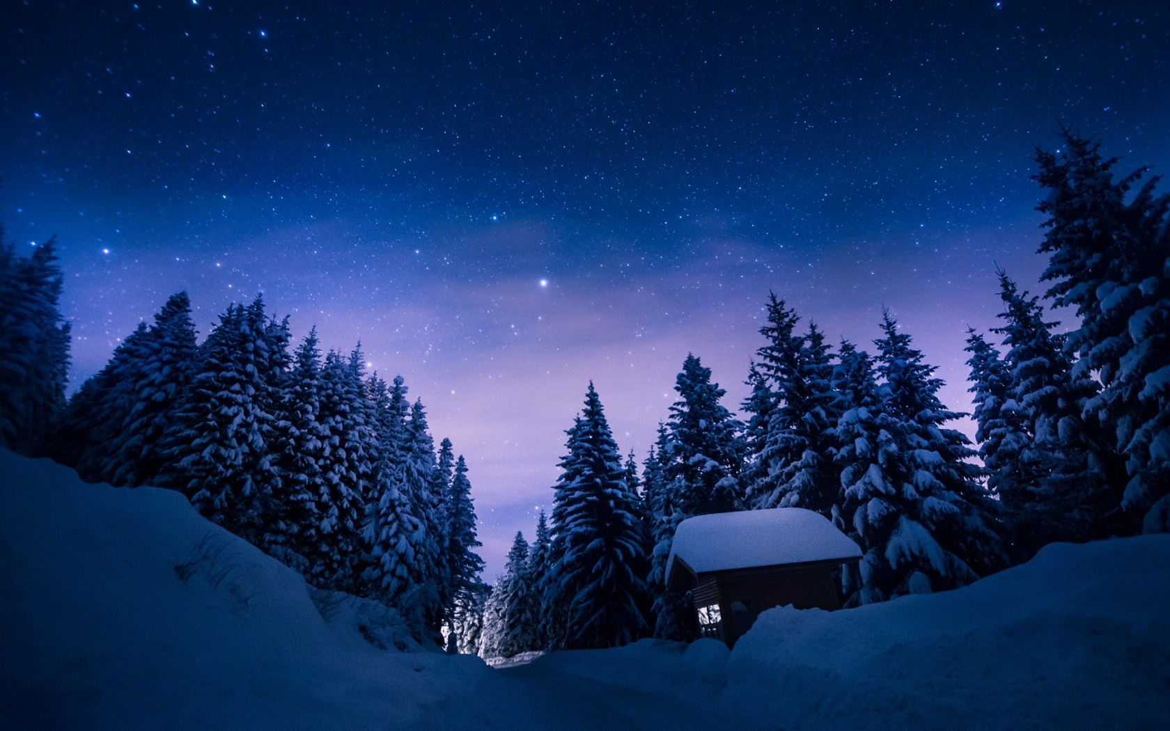 1680x1050 Winter Forest Wallpaper Night, Desktop